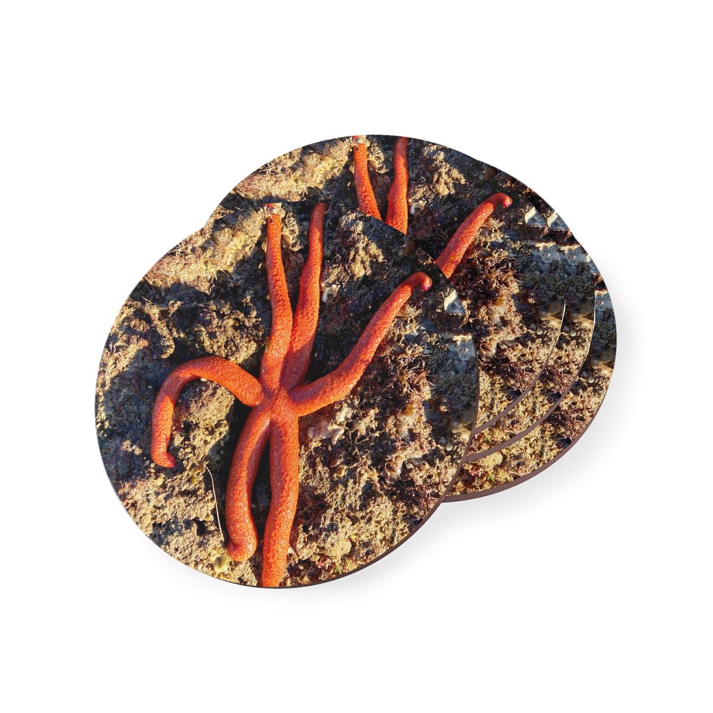 Reef range- AUS PRINT Coasters