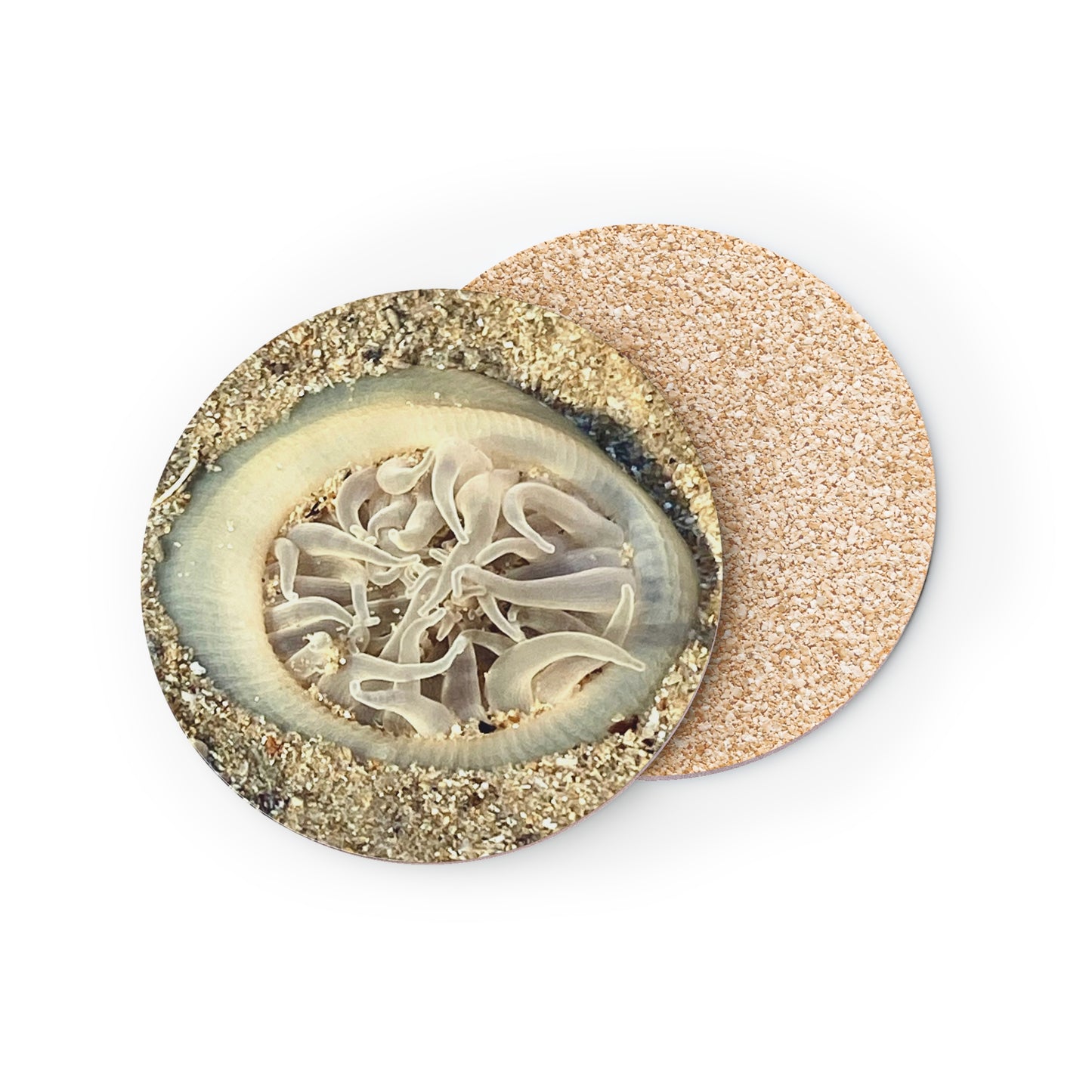 Reef range- AUS PRINT Coasters
