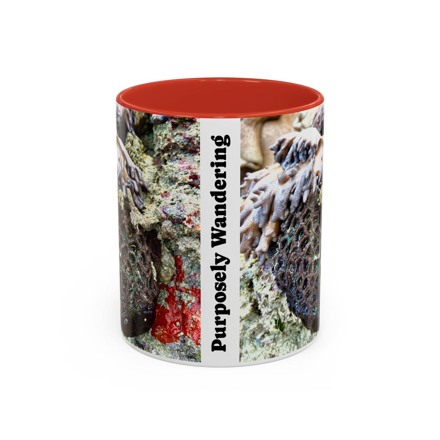 Reef range Accent Coffee Mug (11, 15oz)