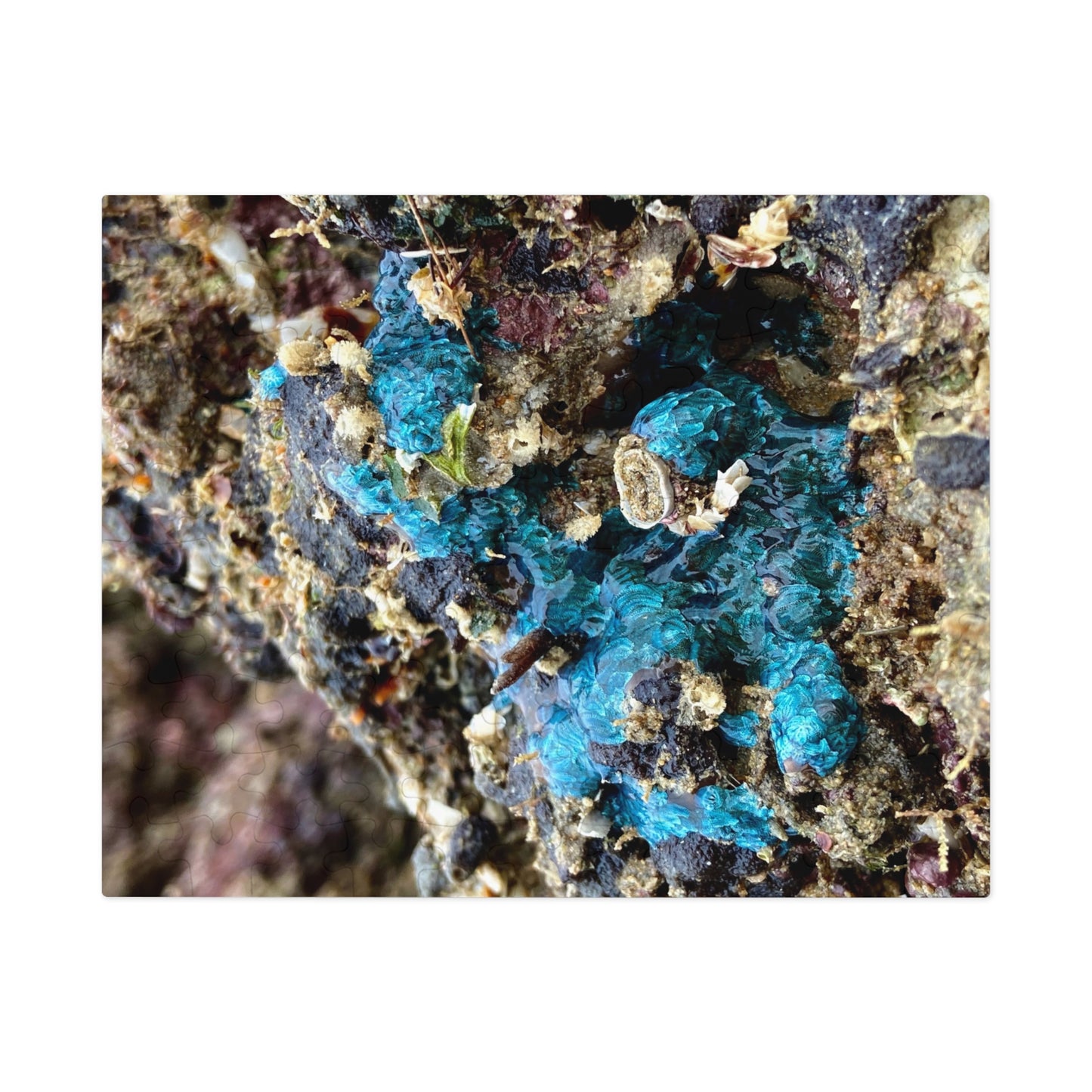 Reef range- Jigsaw Puzzle (30, 110, 252, 500,1000-Piece)