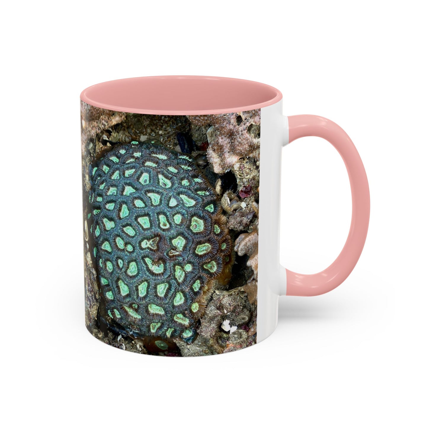 Reef range Accent Coffee Mug (11, 15oz)