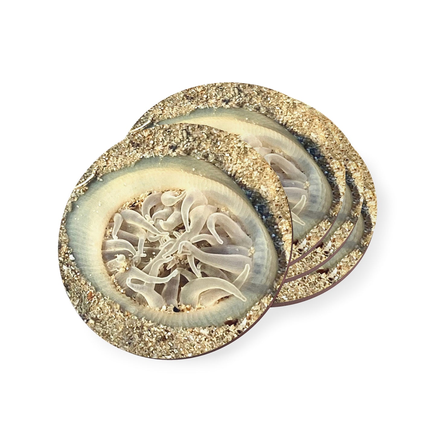 Reef range- AUS PRINT Coasters