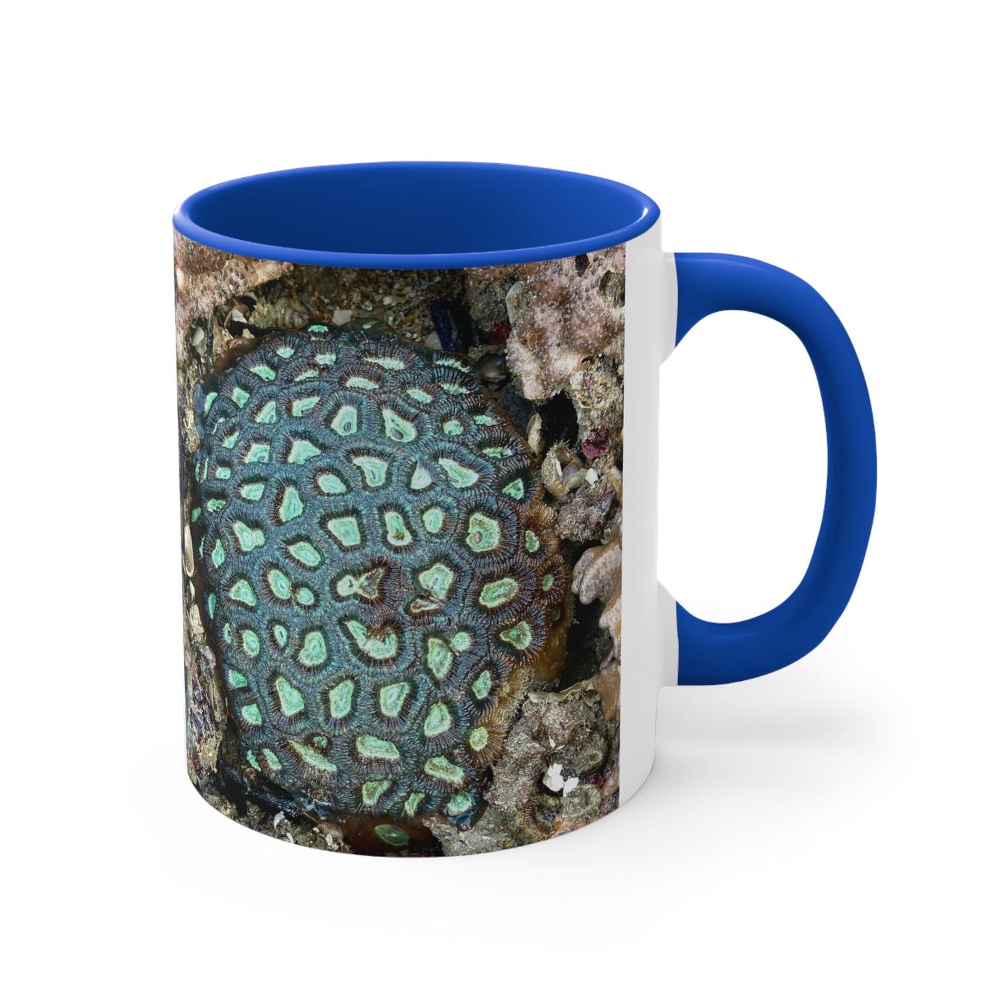 Reef range- AUS PRINT Colourful Accent Mugs, 11oz