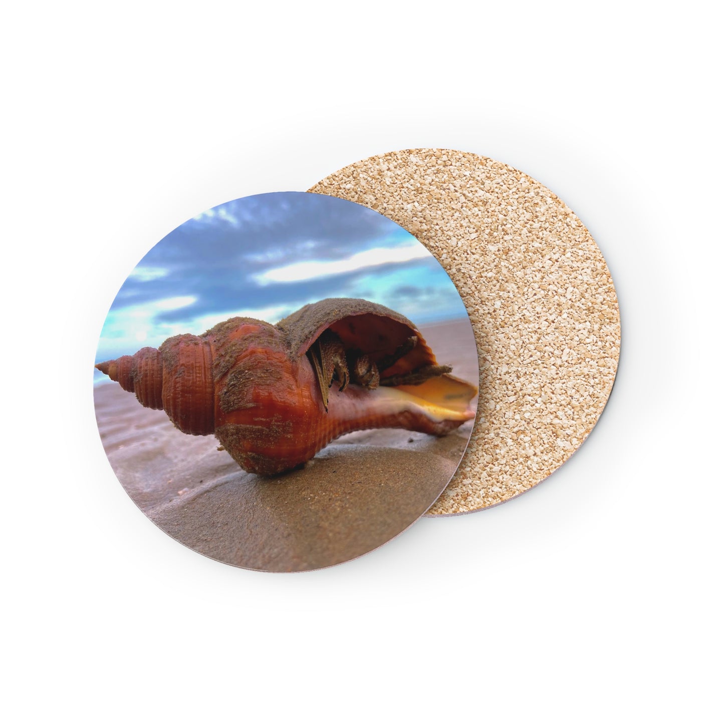 Beach-Inspired Shell Coasters - Coastal Decor for Ocean Lovers