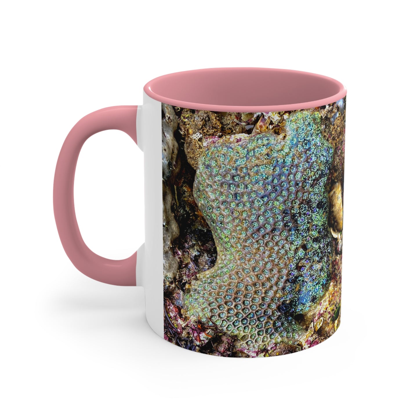 Reef range- AUS PRINT Colorful Accent Mugs, 11oz