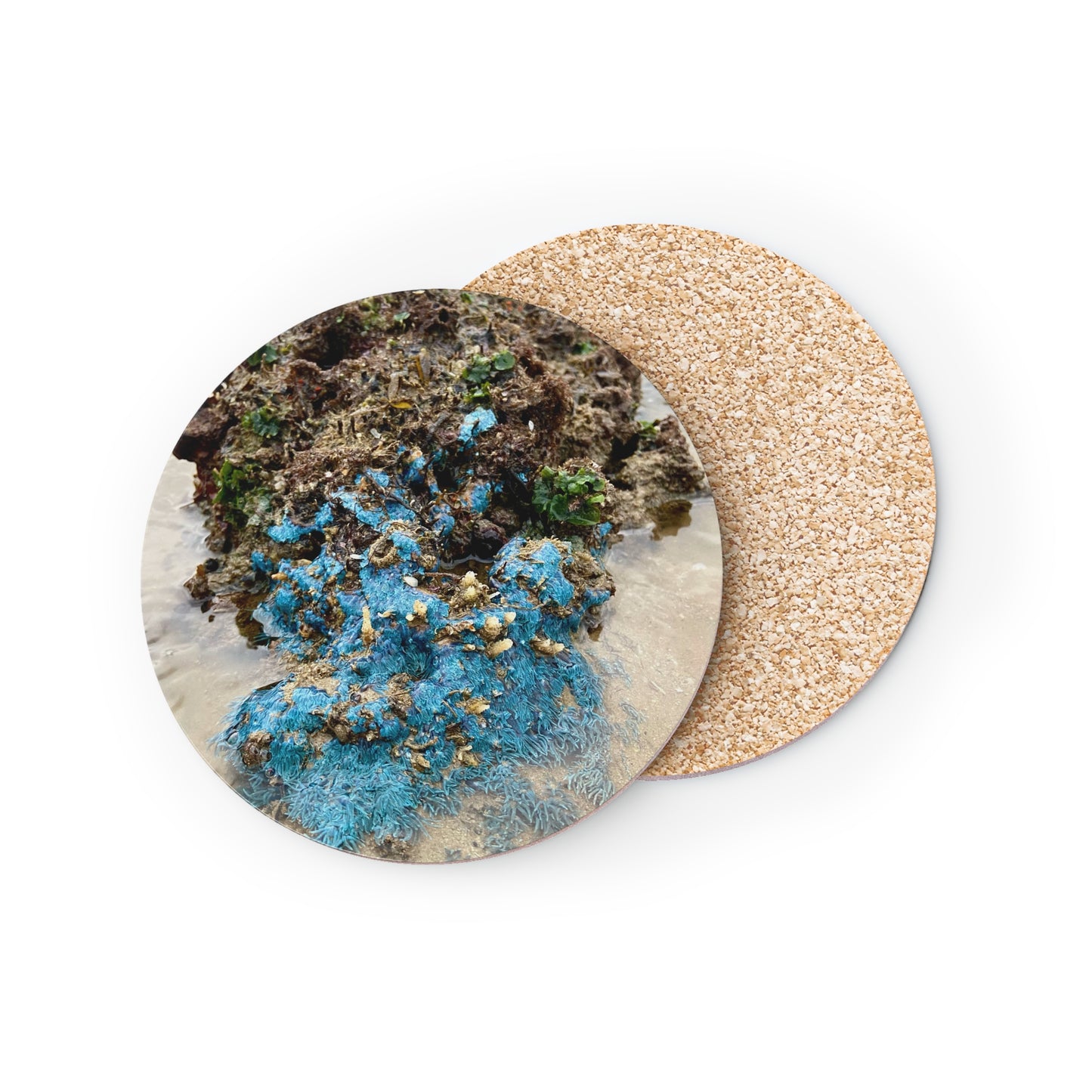Ocean-Inspired Coasters - Coastal Decor for Beach Lovers