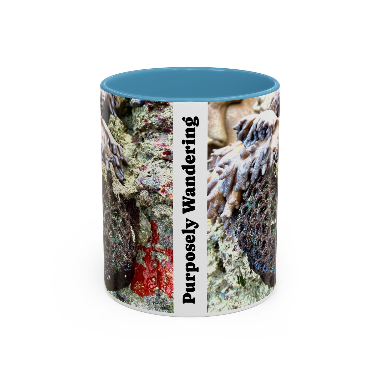 Reef range Accent Coffee Mug (11, 15oz)
