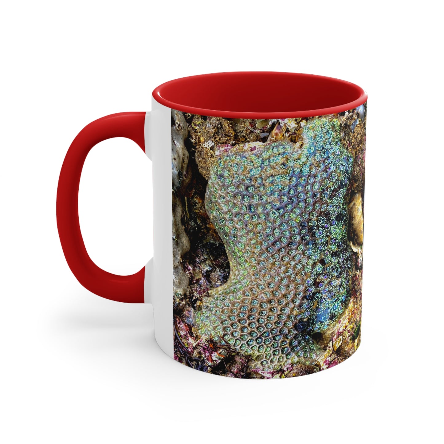 Reef range- AUS PRINT Colorful Accent Mugs, 11oz