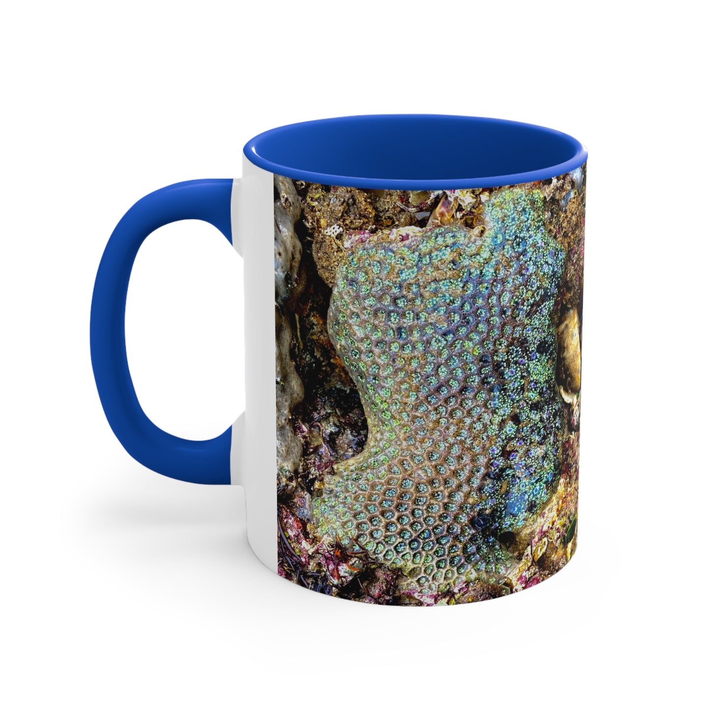 Reef range- AUS PRINT Colorful Accent Mugs, 11oz