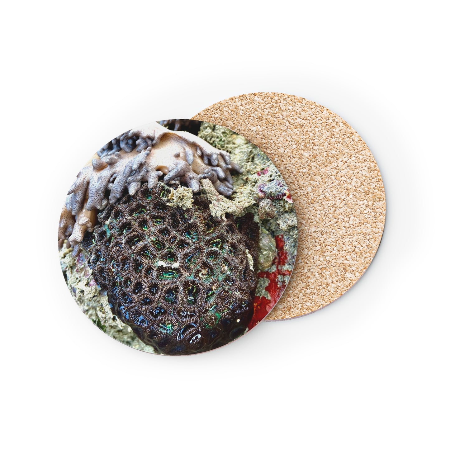 Reef range- AUS PRINT Coasters