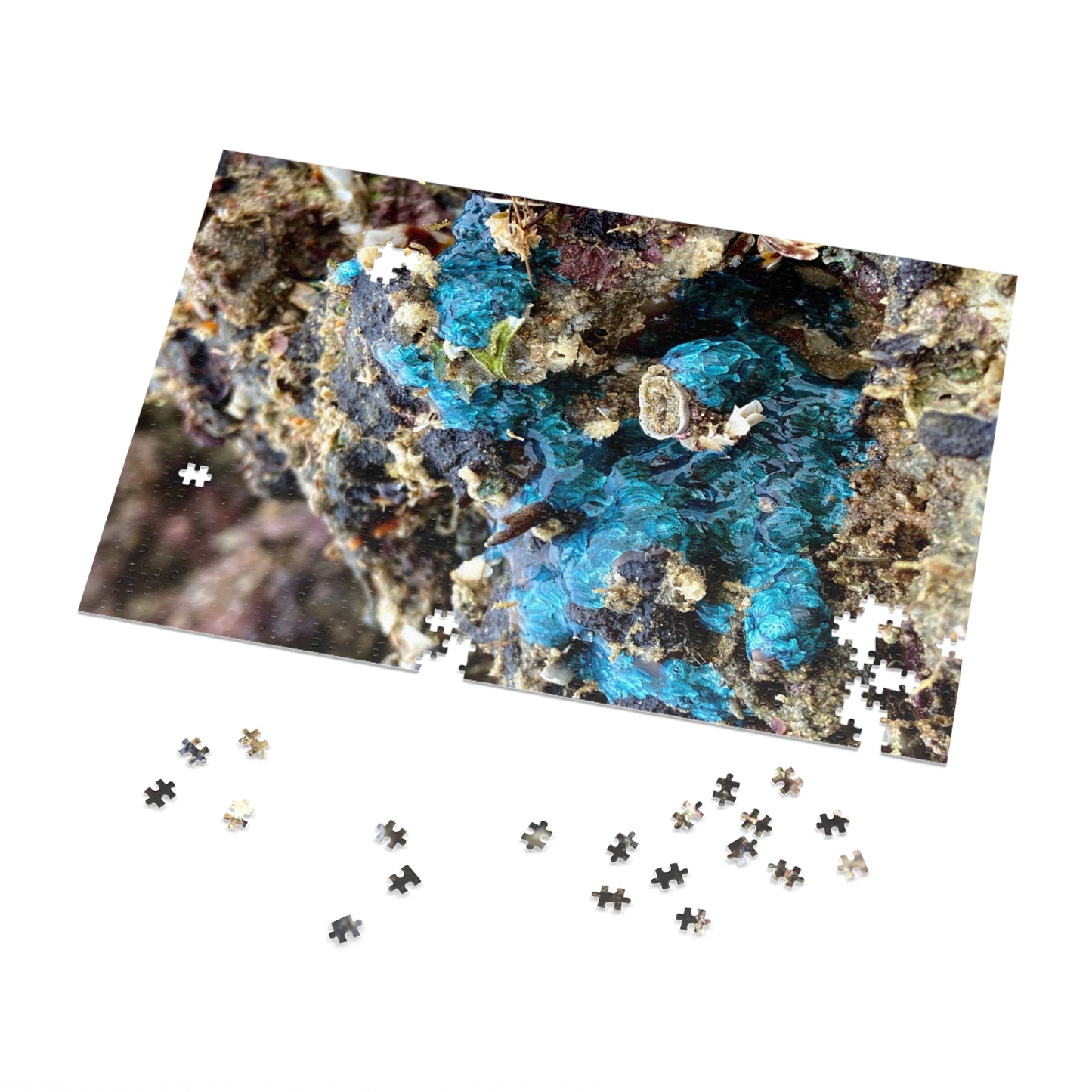 Reef range- Jigsaw Puzzle (30, 110, 252, 500,1000-Piece)