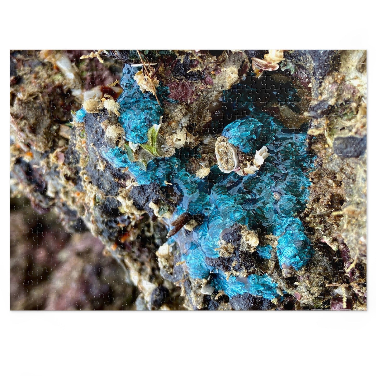 Reef range- Jigsaw Puzzle (30, 110, 252, 500,1000-Piece)