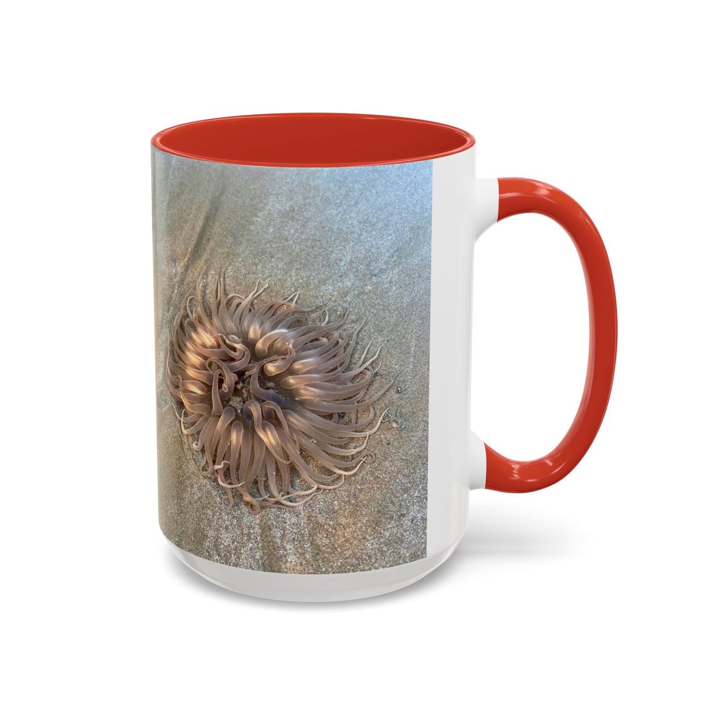 Reef range Accent Coffee Mug (11, 15oz)
