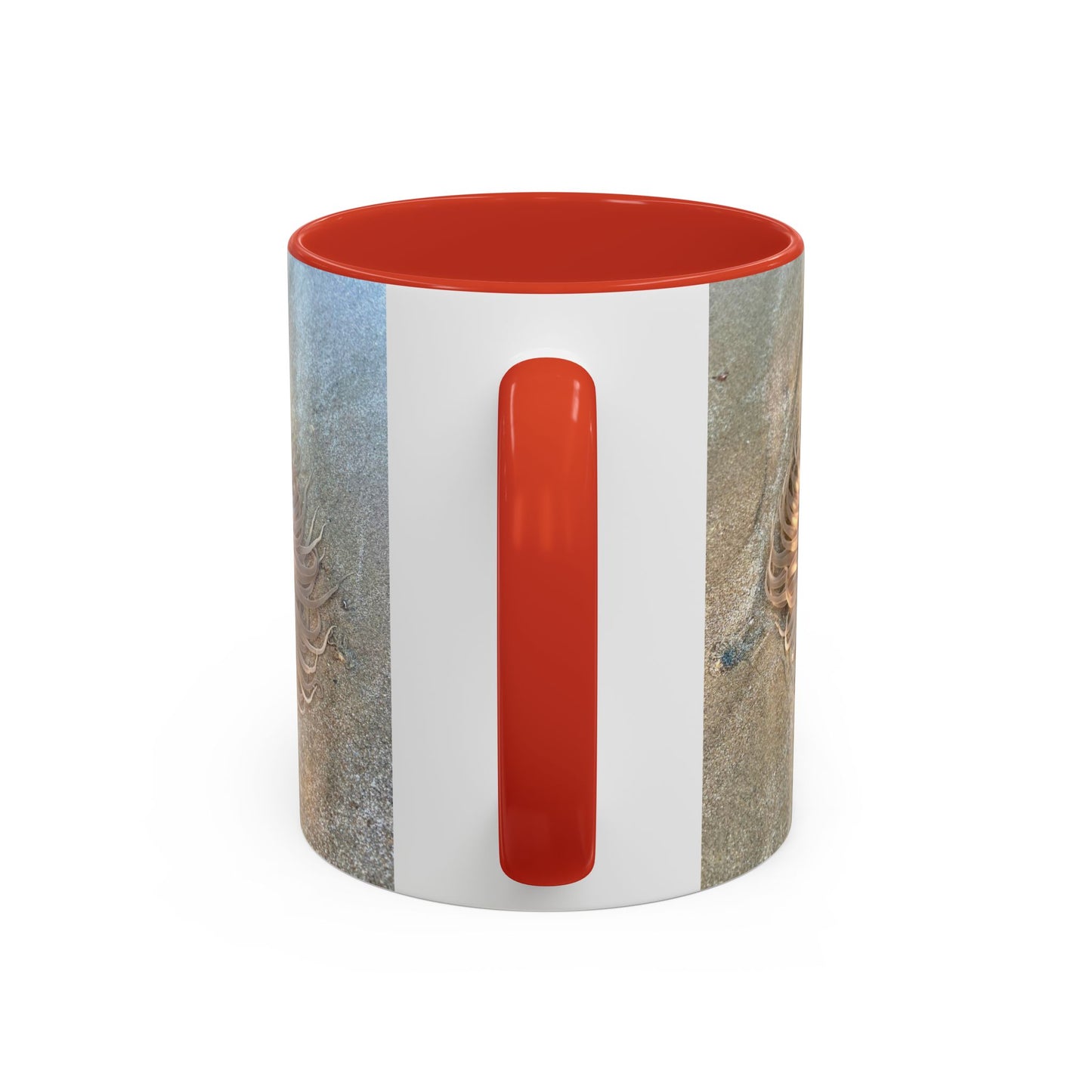 Purposely Wandering Accent Coffee Mug - Unique 11oz & 15oz Drinkware for Nature Lovers