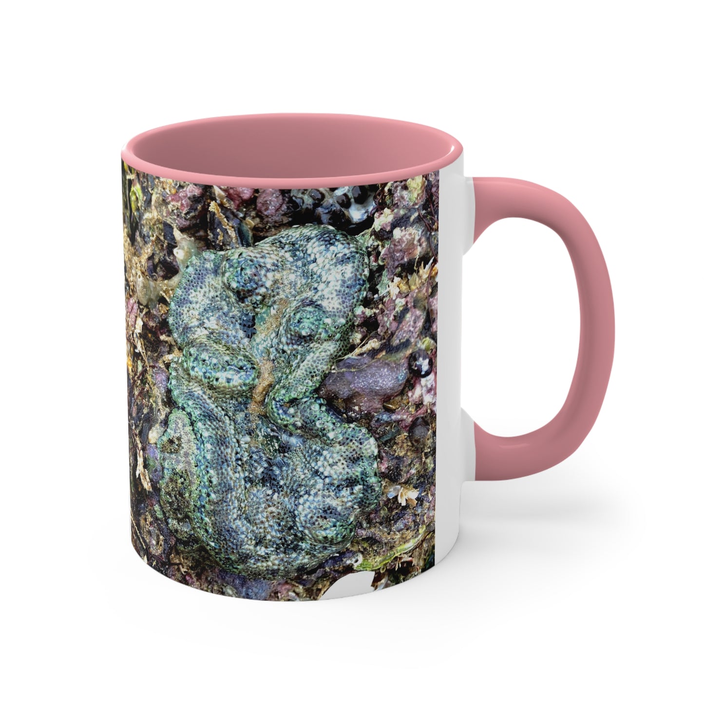 Reef range- AUS PRINT Colorful Accent Mugs, 11oz