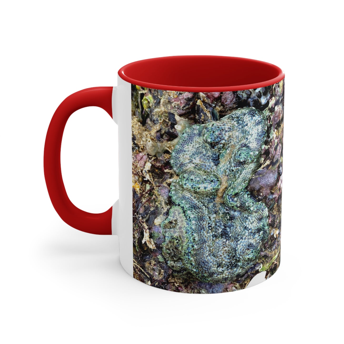 Reef range- AUS PRINT Colorful Accent Mugs, 11oz