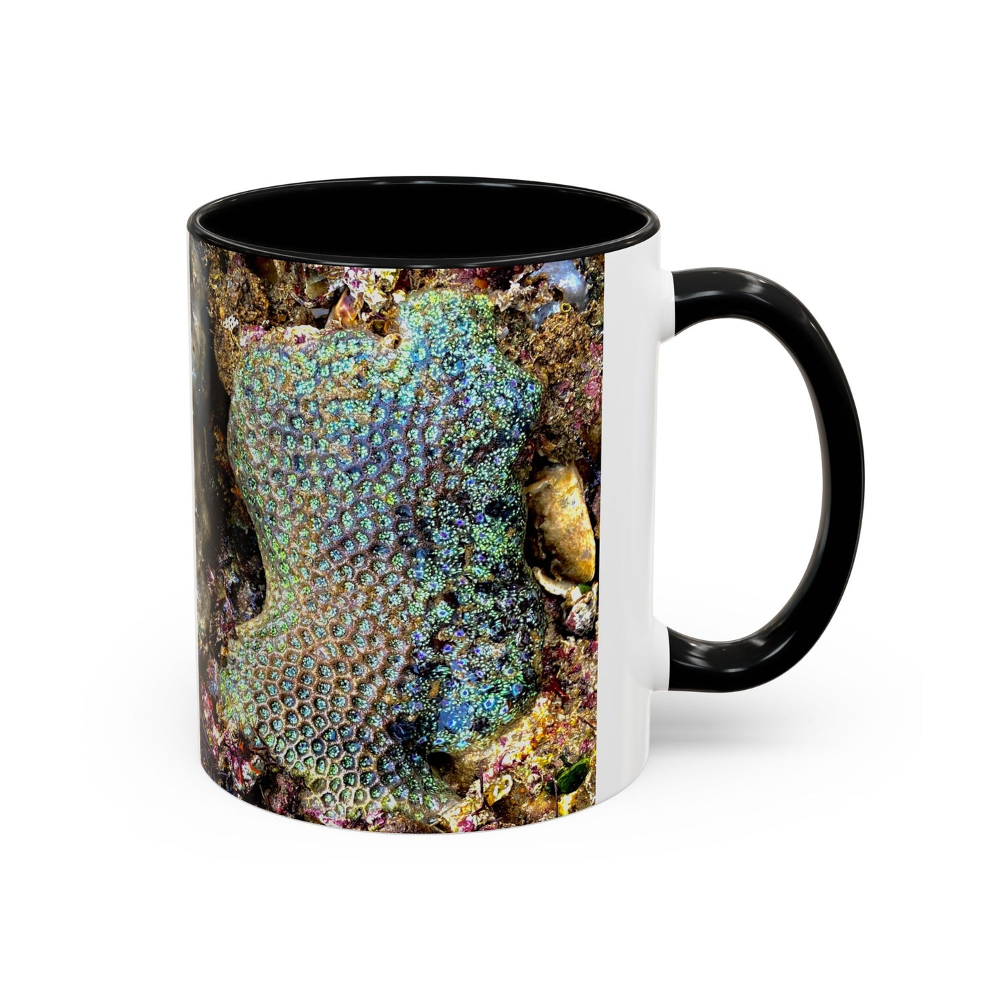 Reef range Accent Coffee Mug (11, 15oz)