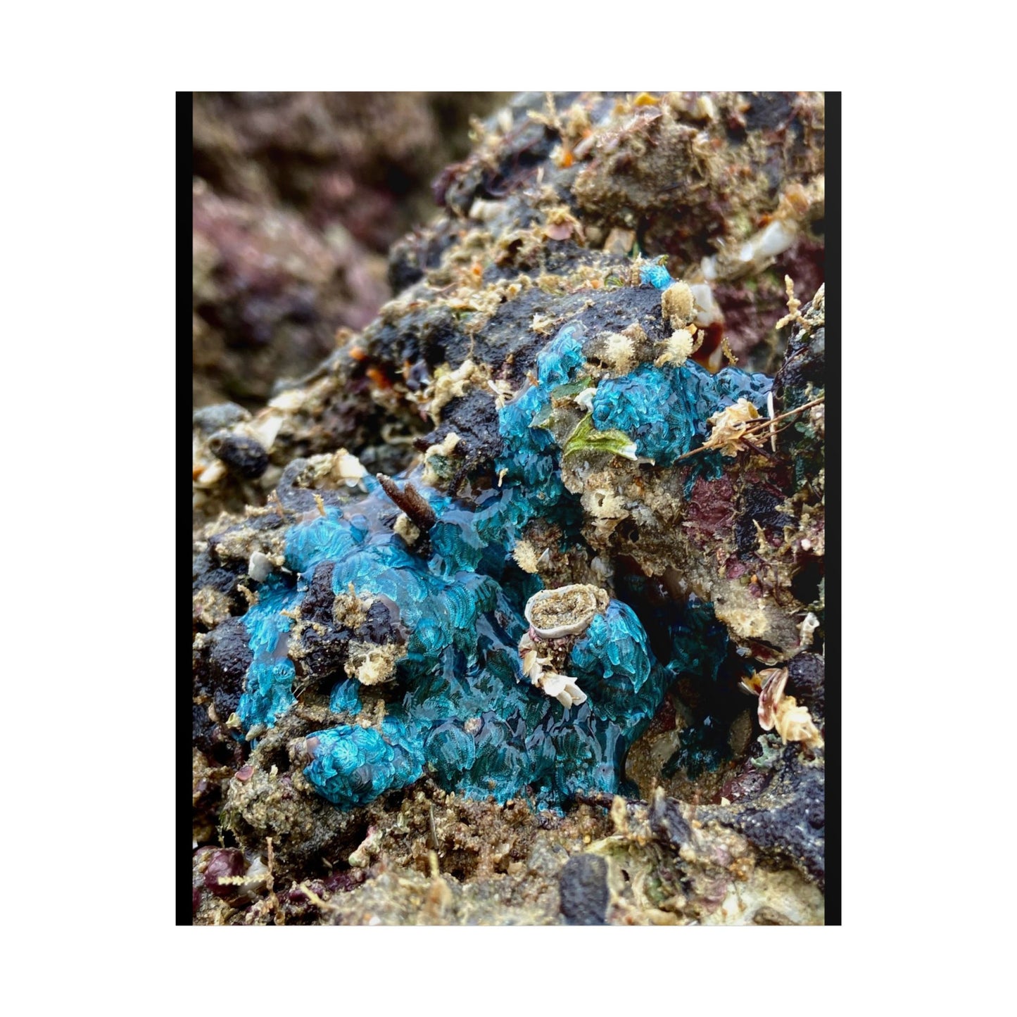 Ocean-Inspired Unframed Poster - Abstract Natural Artwork for Home Decor