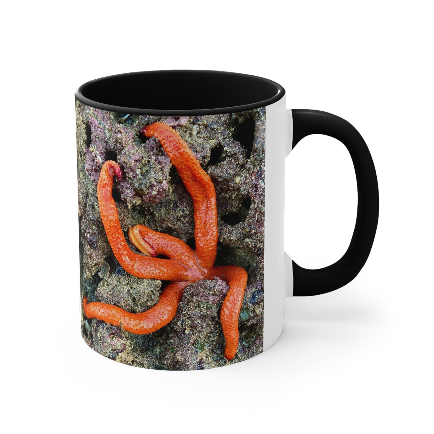 Reef range- AUS PRINT Colorful Accent Mugs, 11oz