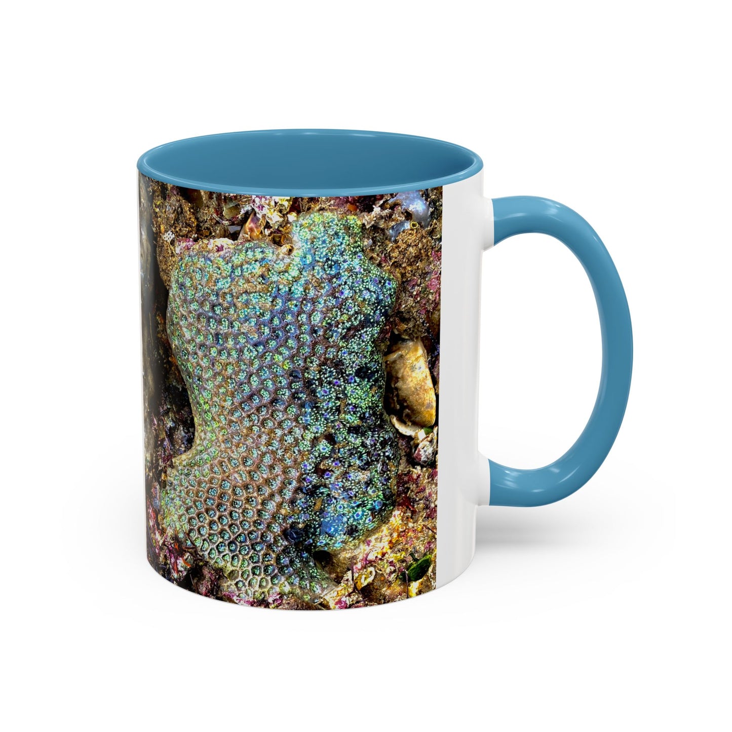 Reef range Accent Coffee Mug (11, 15oz)