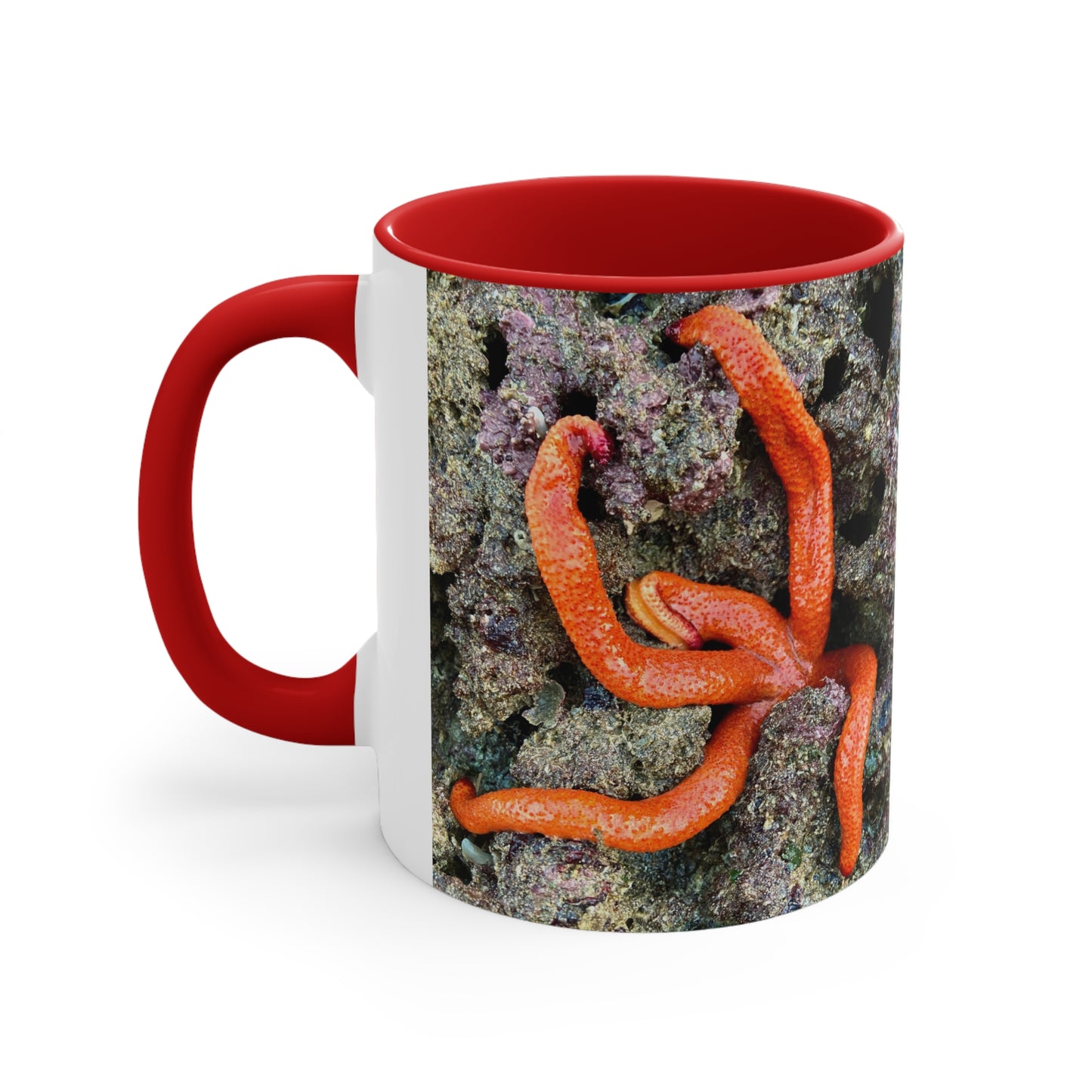 Reef range- AUS PRINT Colorful Accent Mugs, 11oz