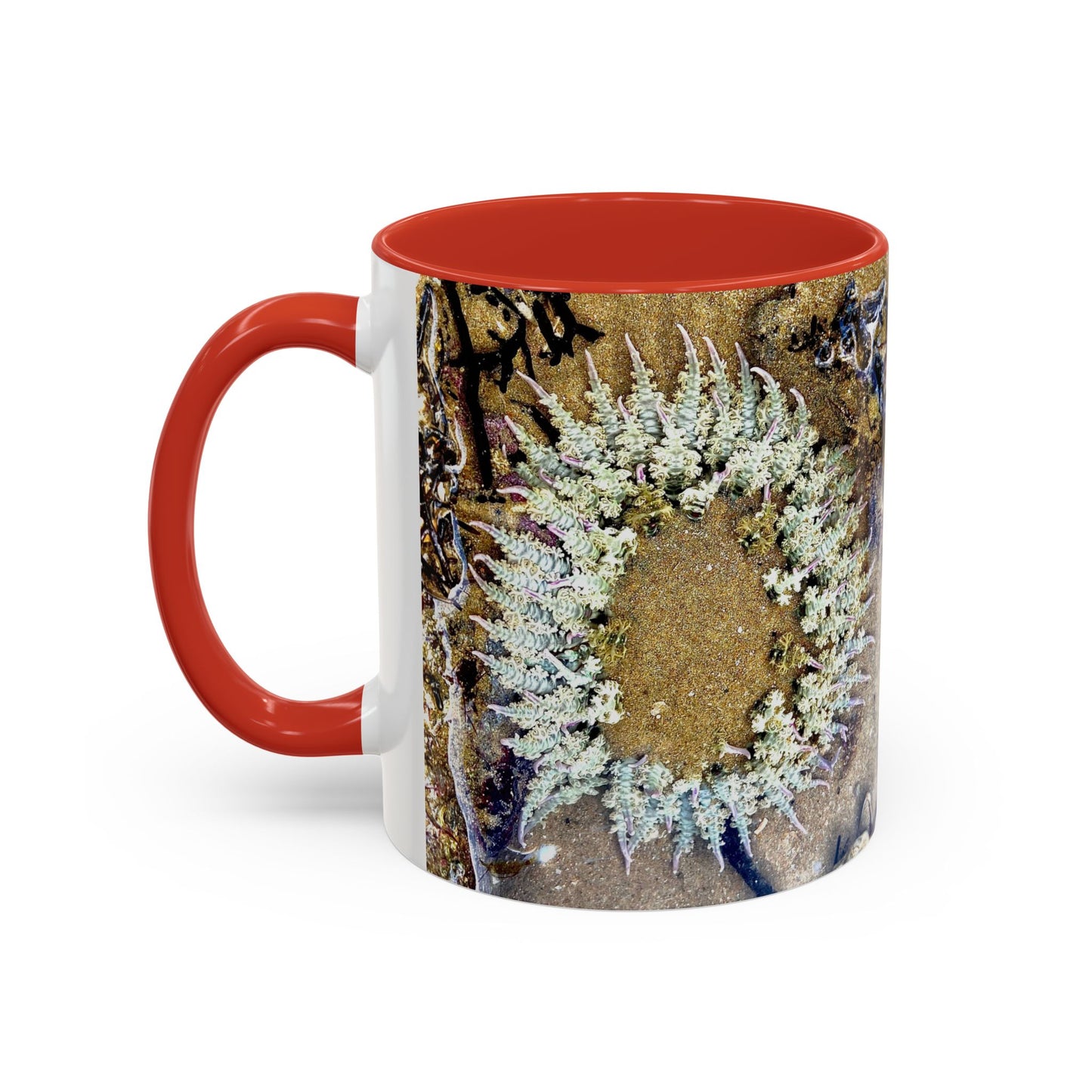 Reef range Accent Coffee Mug (11, 15oz)