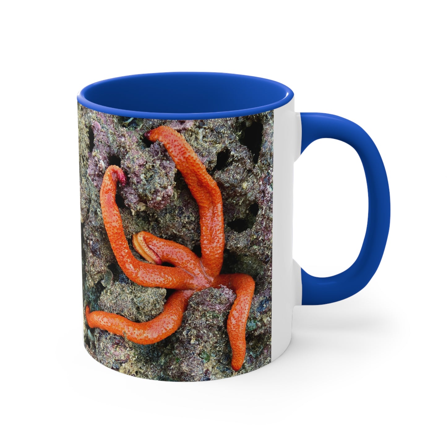 Reef range- AUS PRINT Colorful Accent Mugs, 11oz