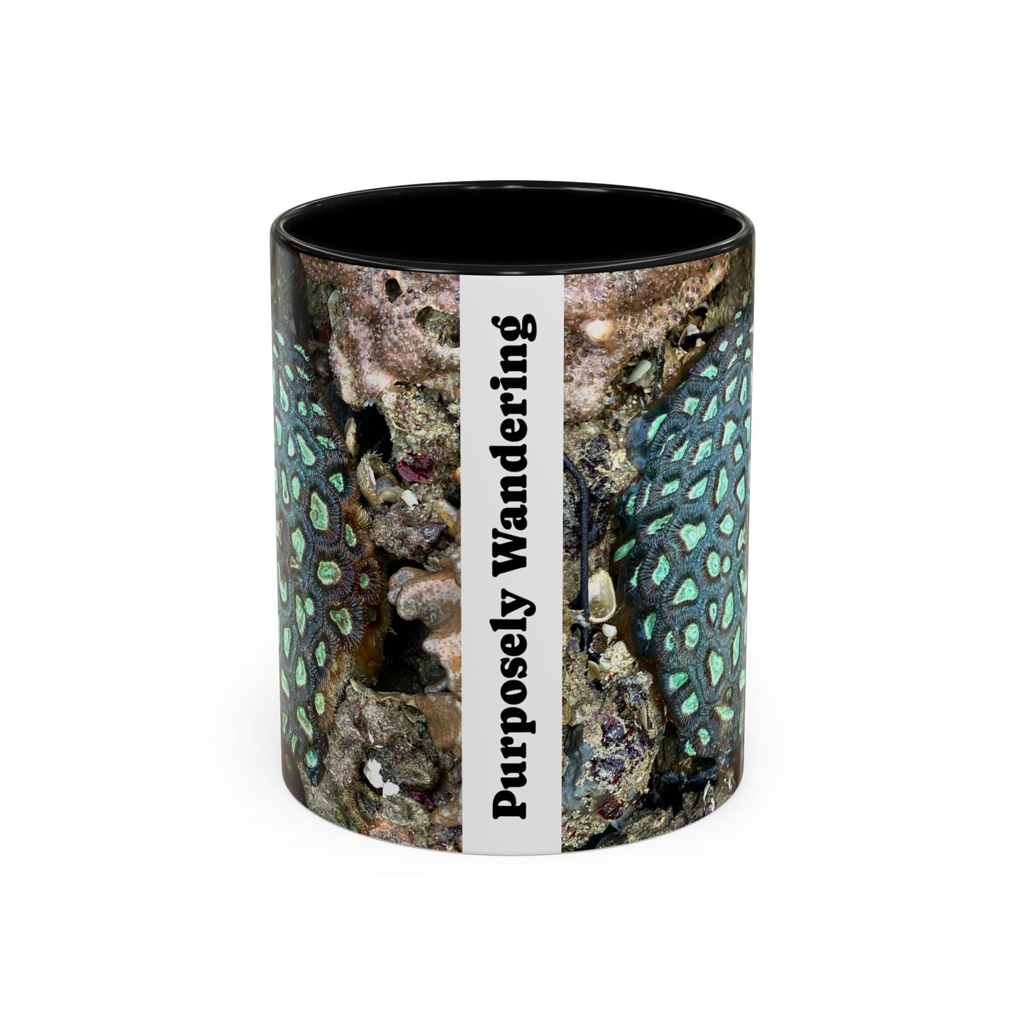 Reef range Accent Coffee Mug (11, 15oz)