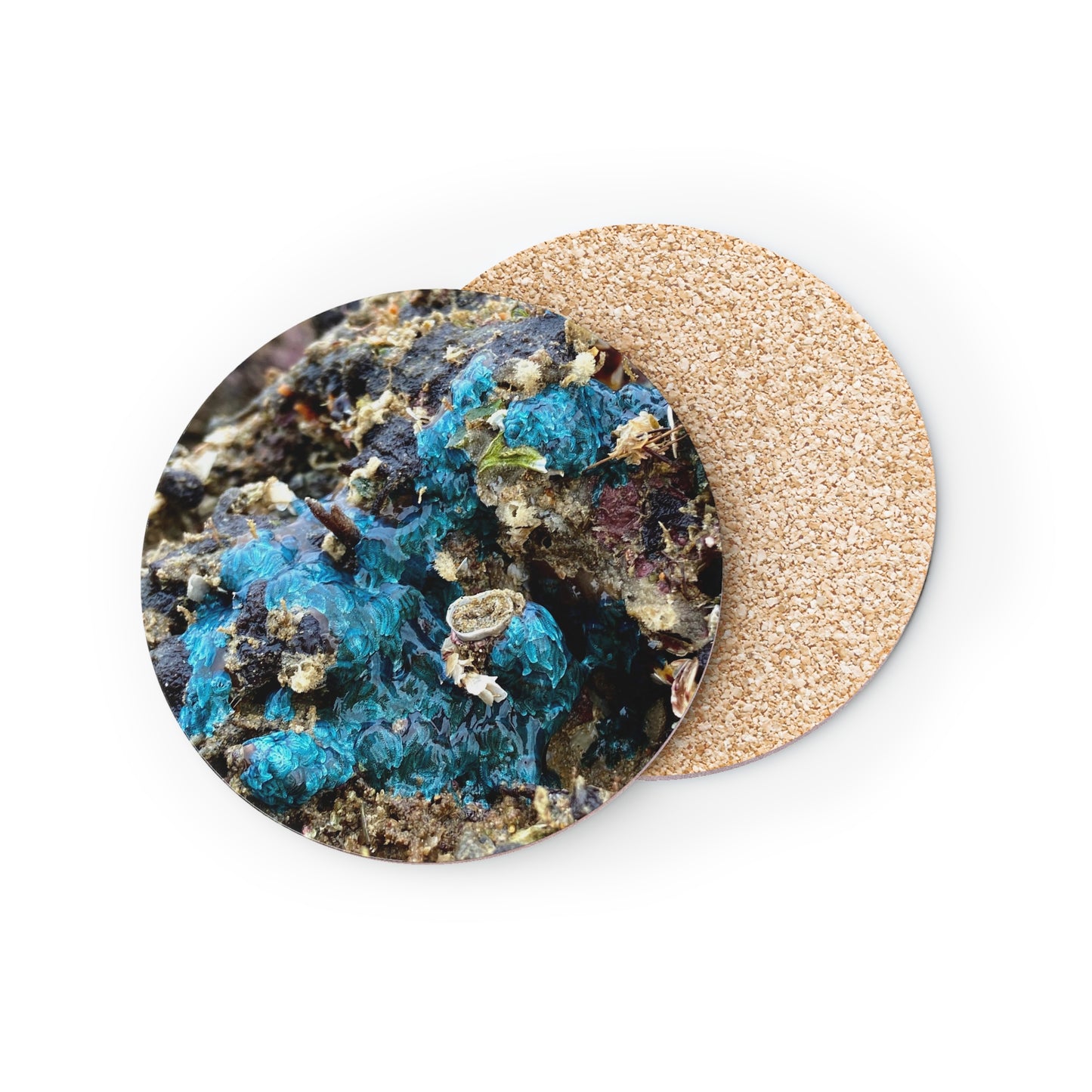 Reef range- AUS PRINT Coasters