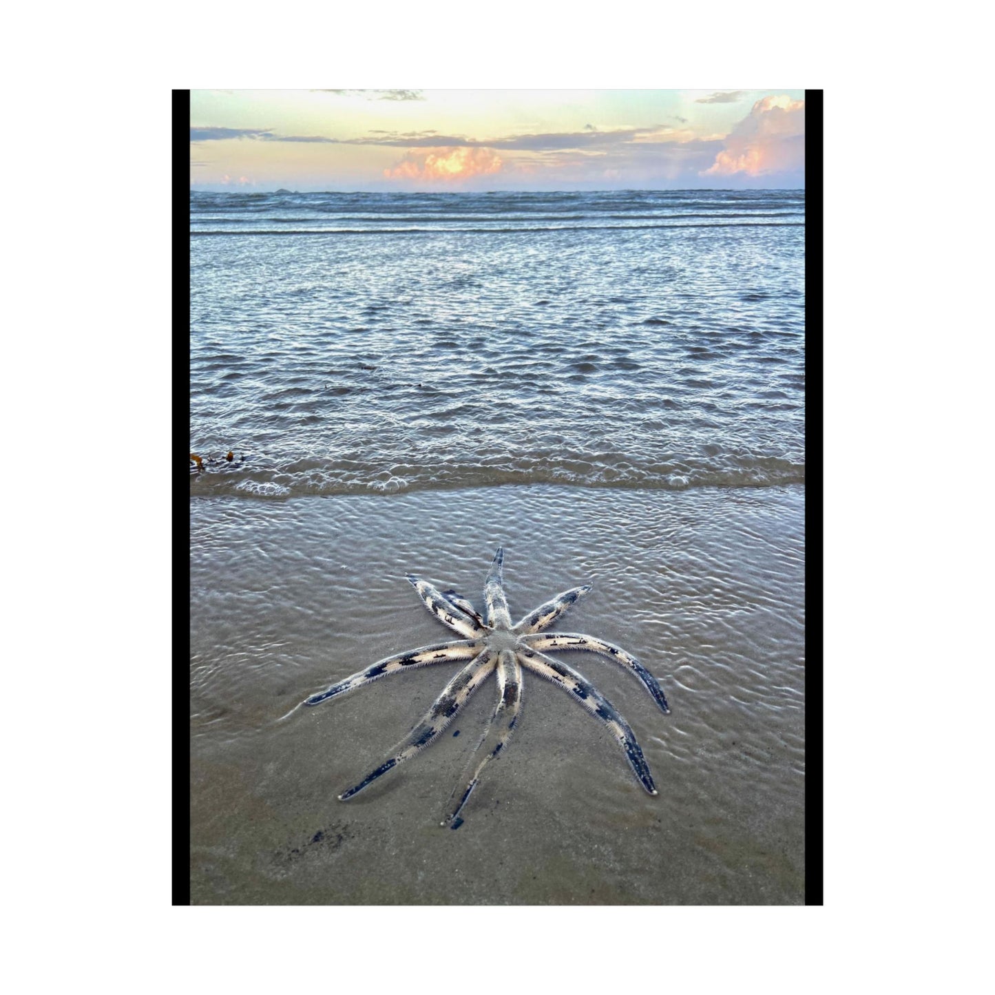 Ocean-Inspired Unframed Poster - Serene Rare Starfish Beach Art for Coastal Decor