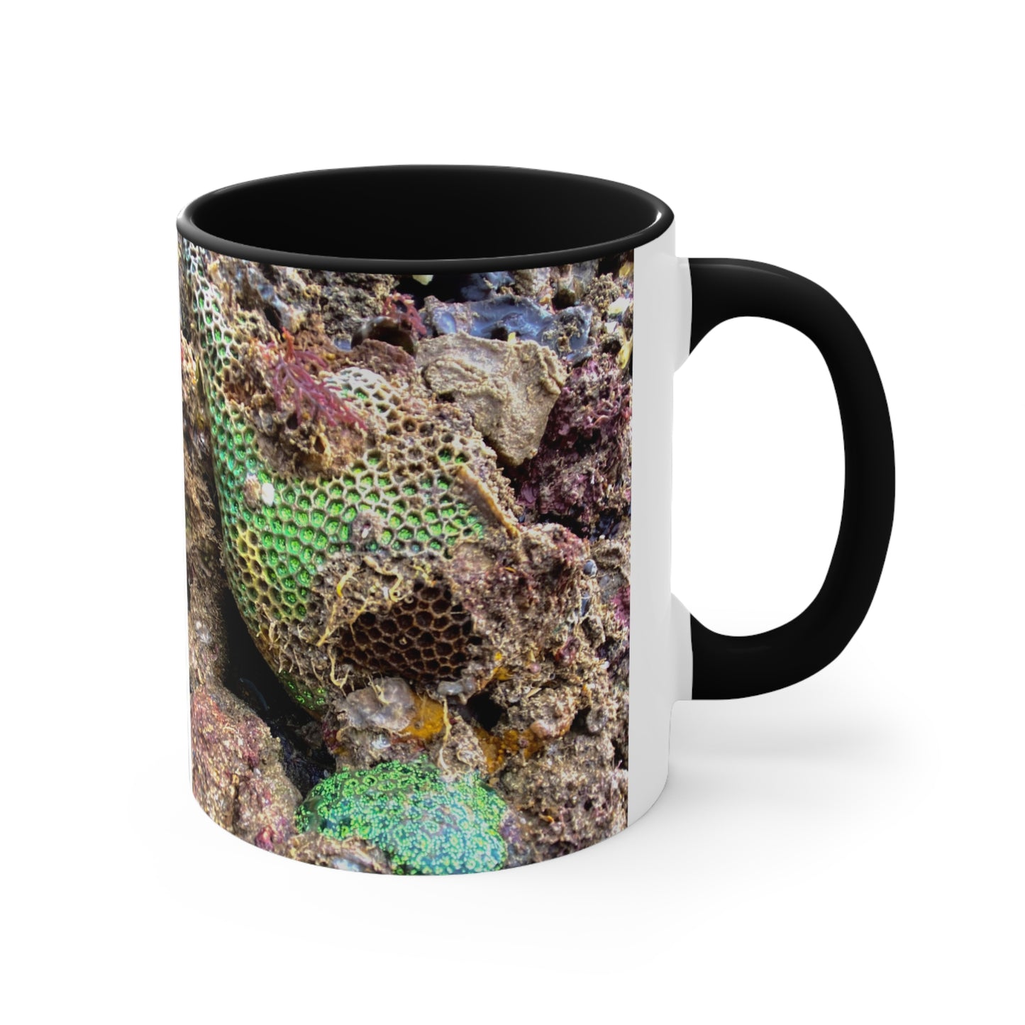 Reef range- AUS PRINT Colorful Accent Mugs, 11oz