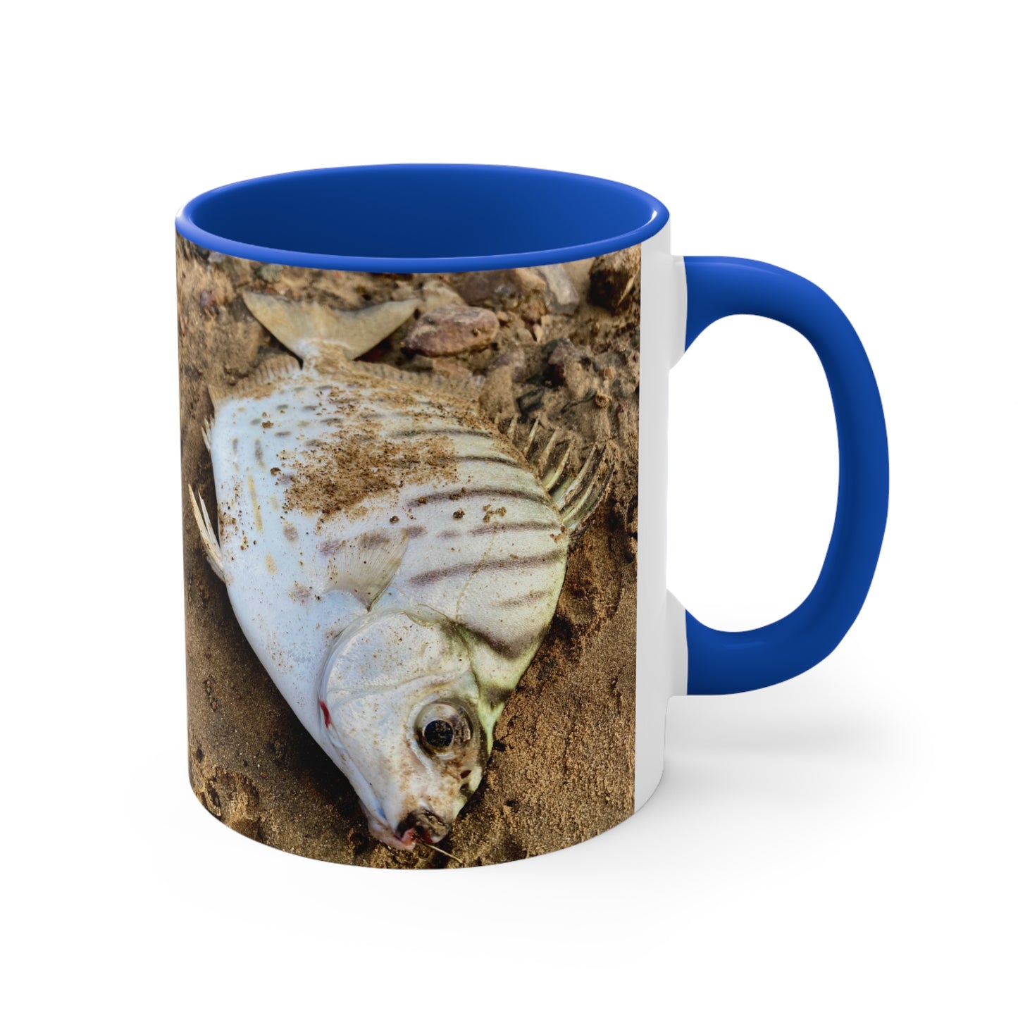 Purposeful Wandering Scat Fish Accent Mug – 11oz Colorful Coffee Cup for Nature Lovers