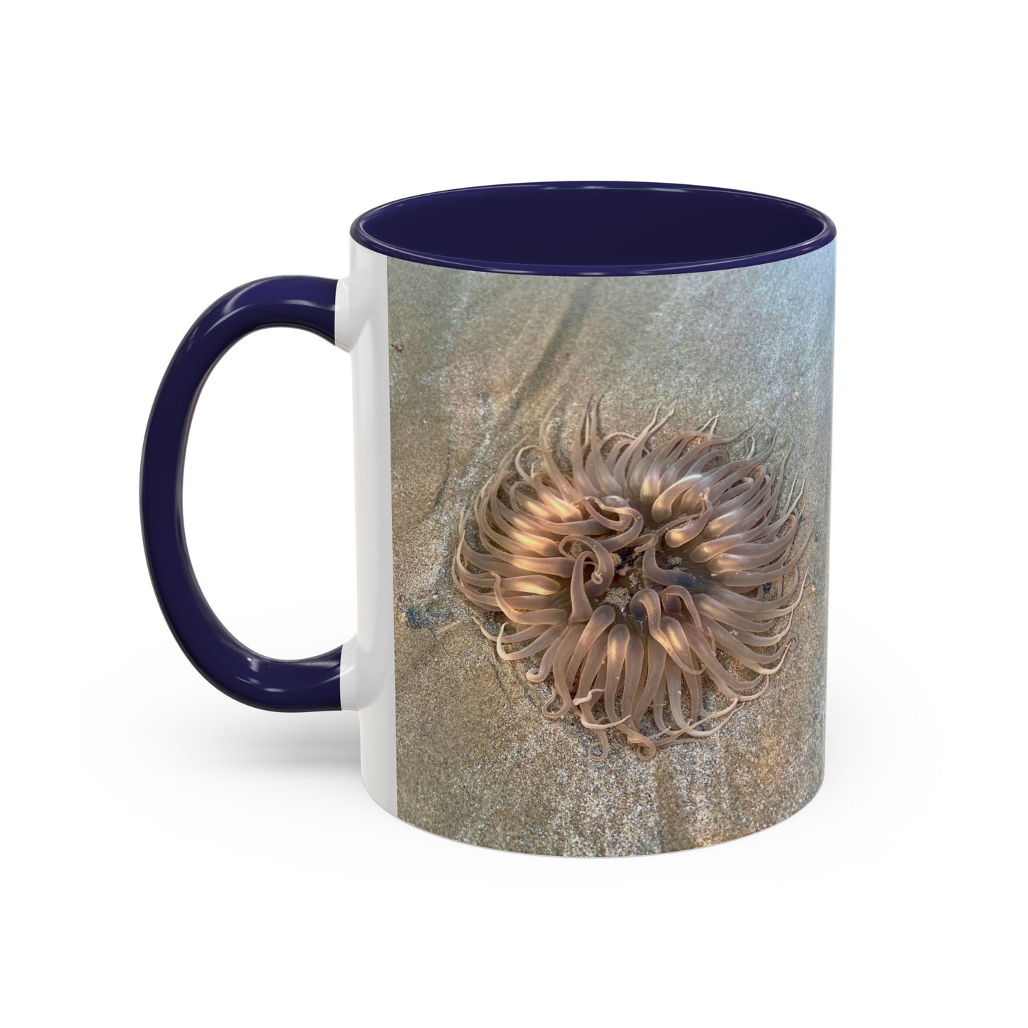 Purposely Wandering Accent Coffee Mug - Unique 11oz & 15oz Drinkware for Nature Lovers
