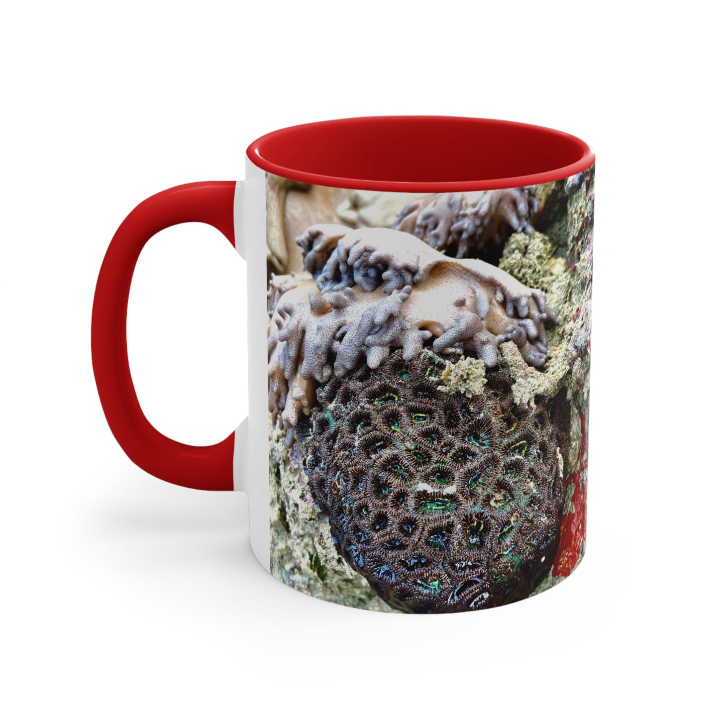 Purposely Wandering Coral Accent Mug - 11oz Colorful Coffee Cup