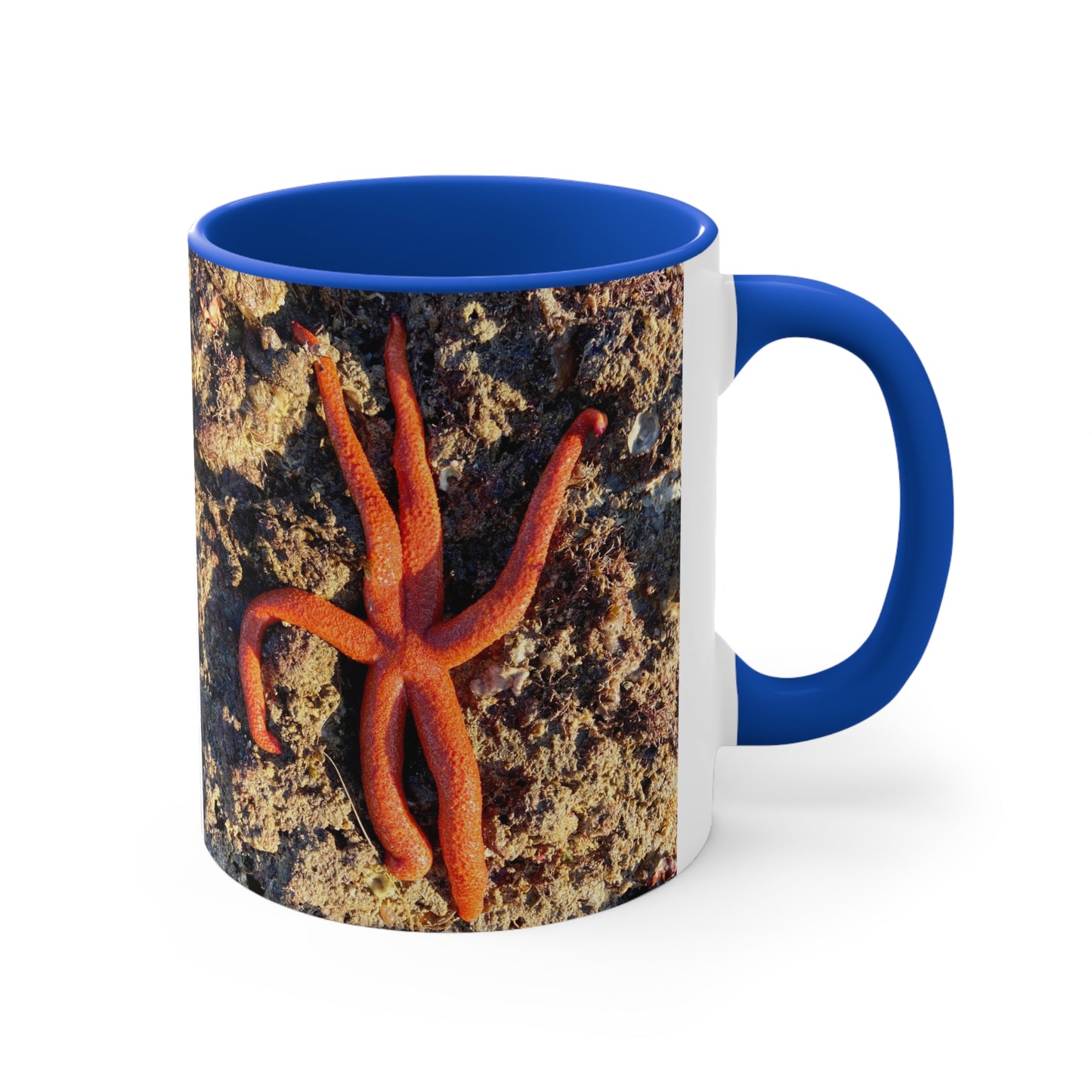 Reef range- AUS PRINT Colorful Accent Mugs, 11oz