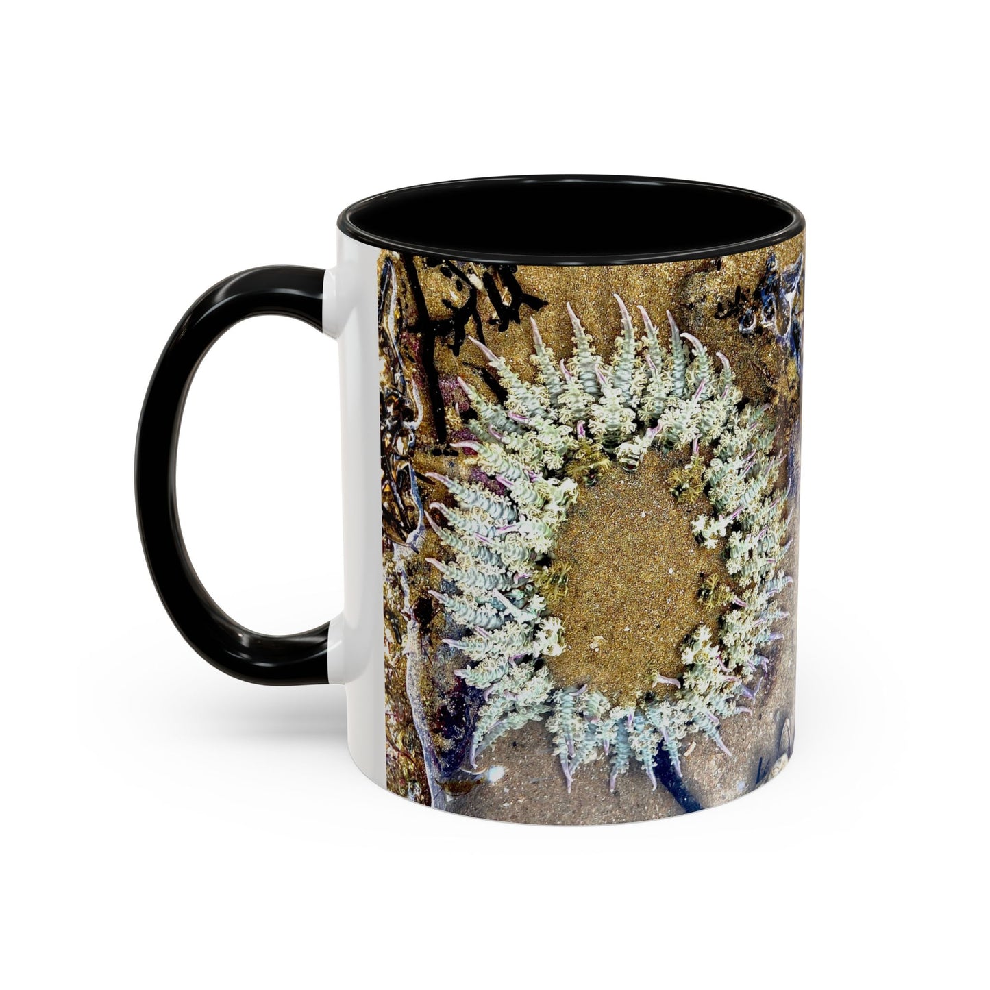 Reef range Accent Coffee Mug (11, 15oz)