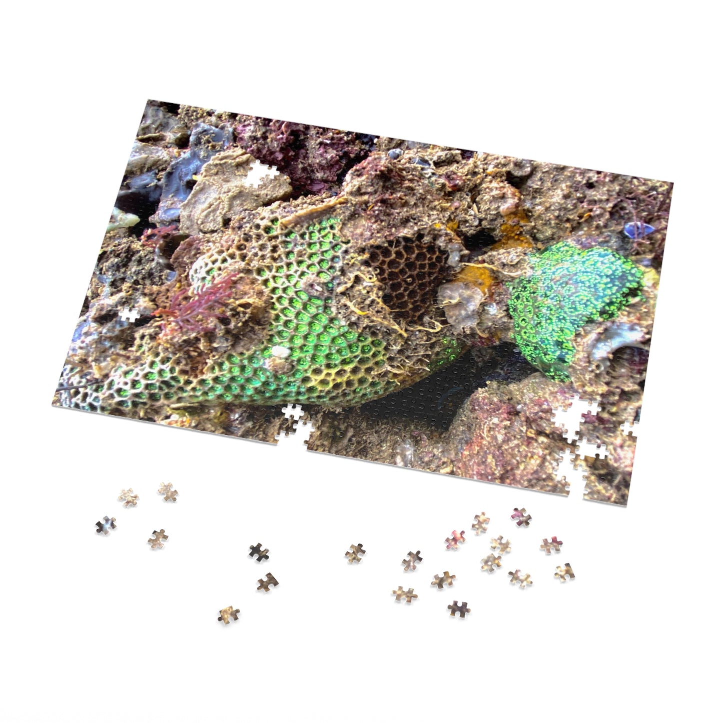 Reef range- Jigsaw Puzzle (30, 110, 252, 500,1000-Piece)