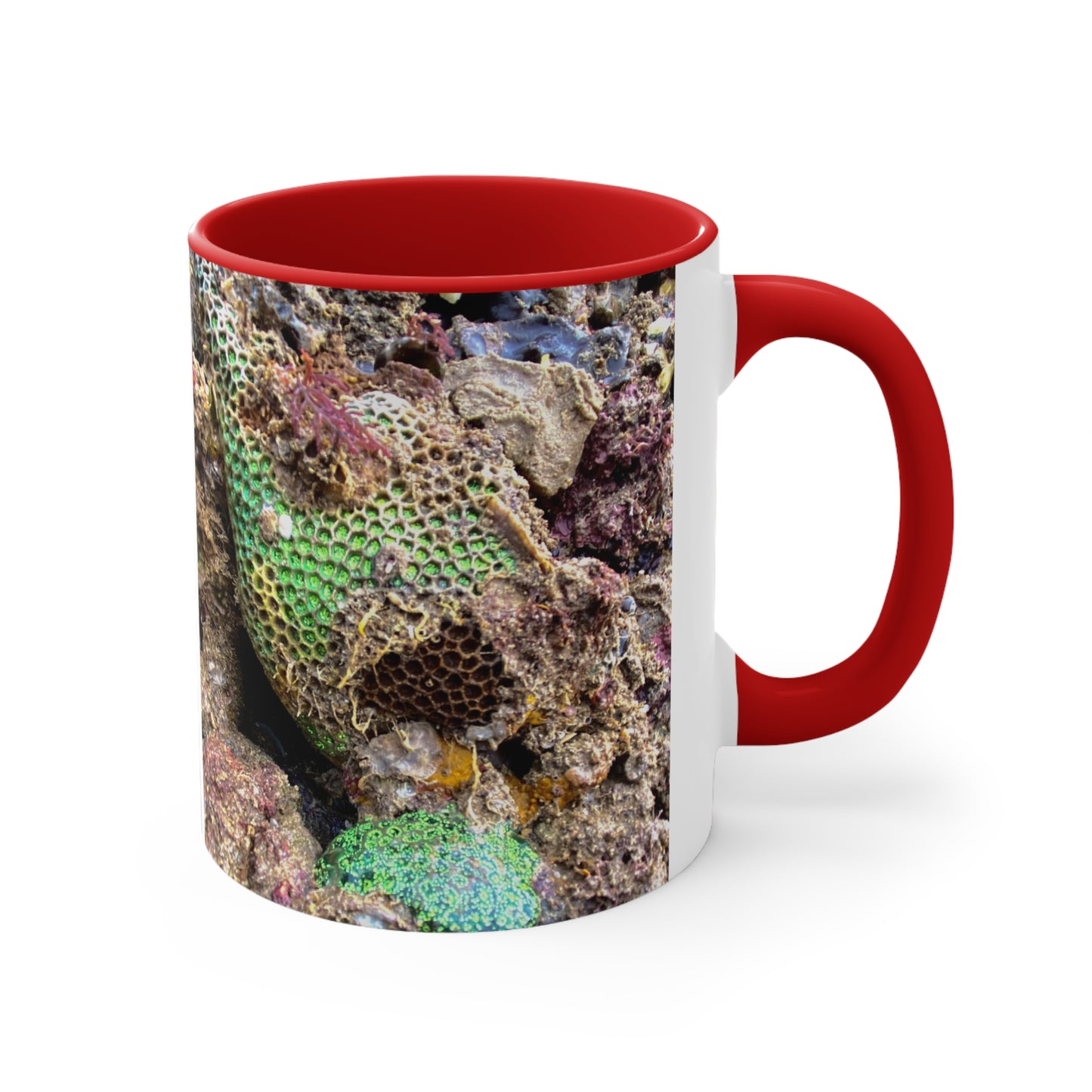 Reef range- AUS PRINT Colorful Accent Mugs, 11oz