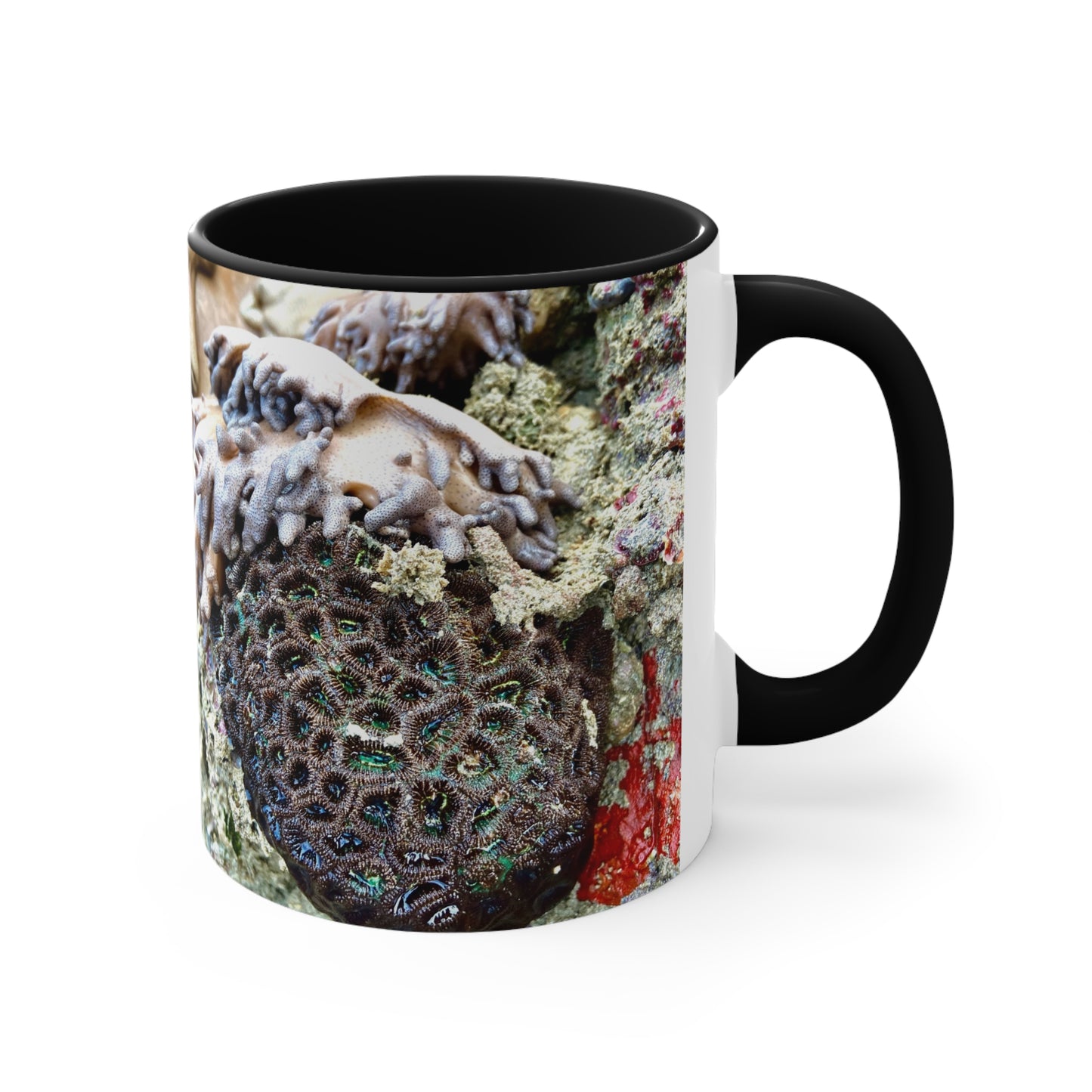 Purposely Wandering Coral Accent Mug - 11oz Colorful Coffee Cup