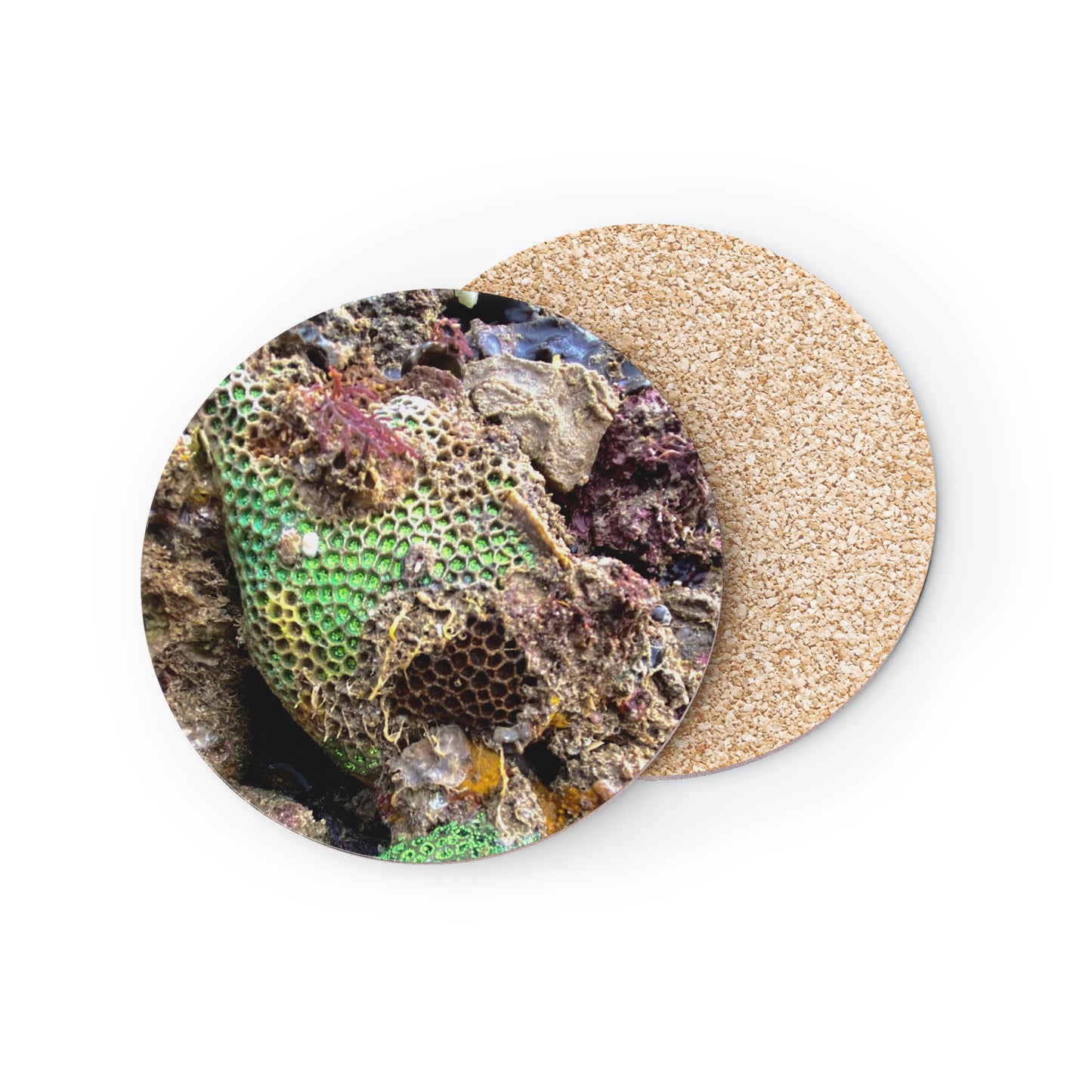 Reef range- AUS PRINT Coasters