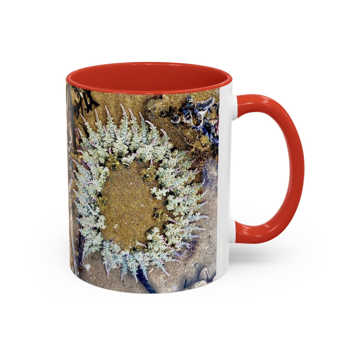 Reef range Accent Coffee Mug (11, 15oz)
