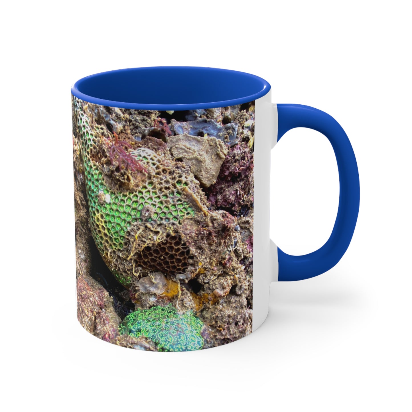 Reef range- AUS PRINT Colorful Accent Mugs, 11oz