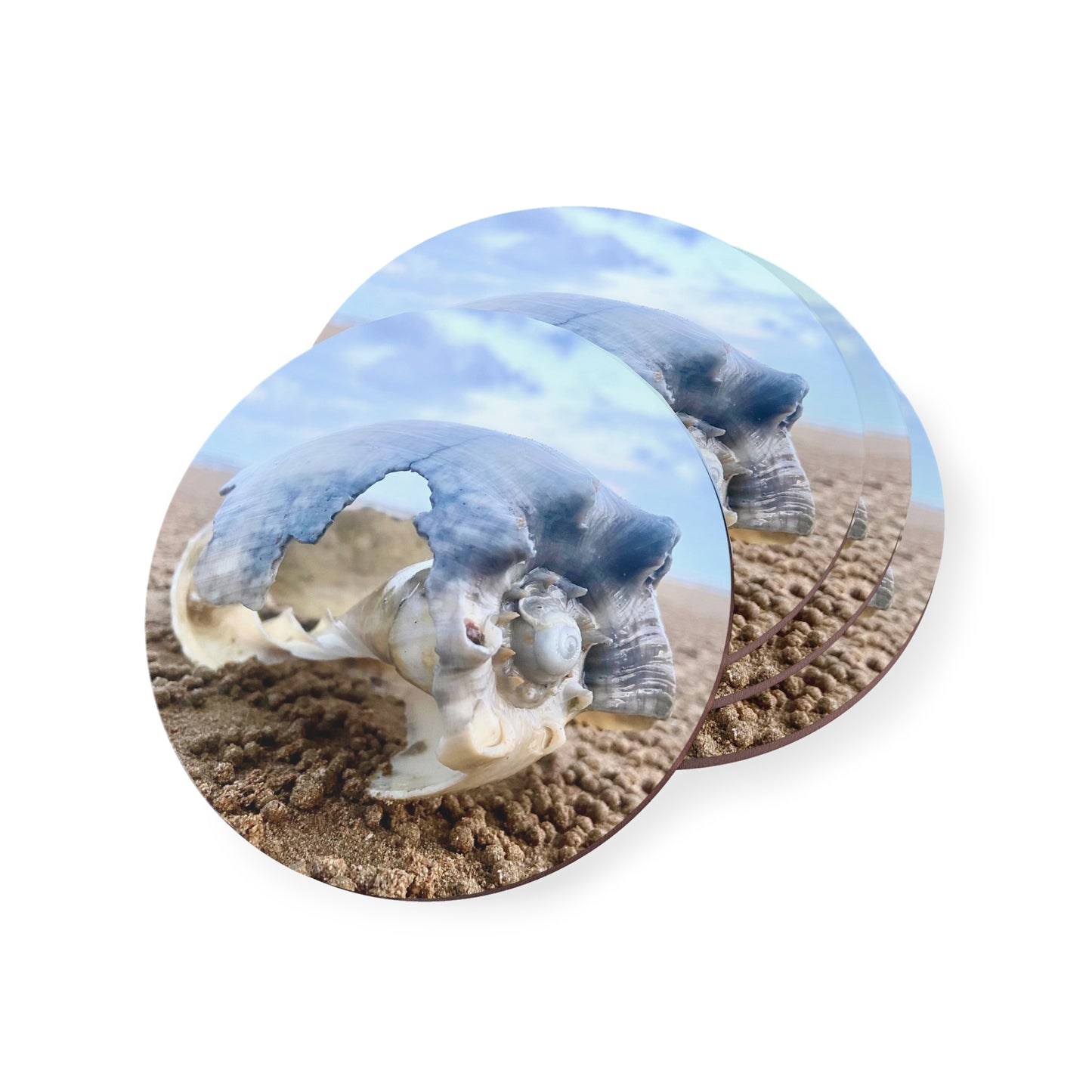 Ocean-Inspired Decorative Coasters - Coastal Shell Design