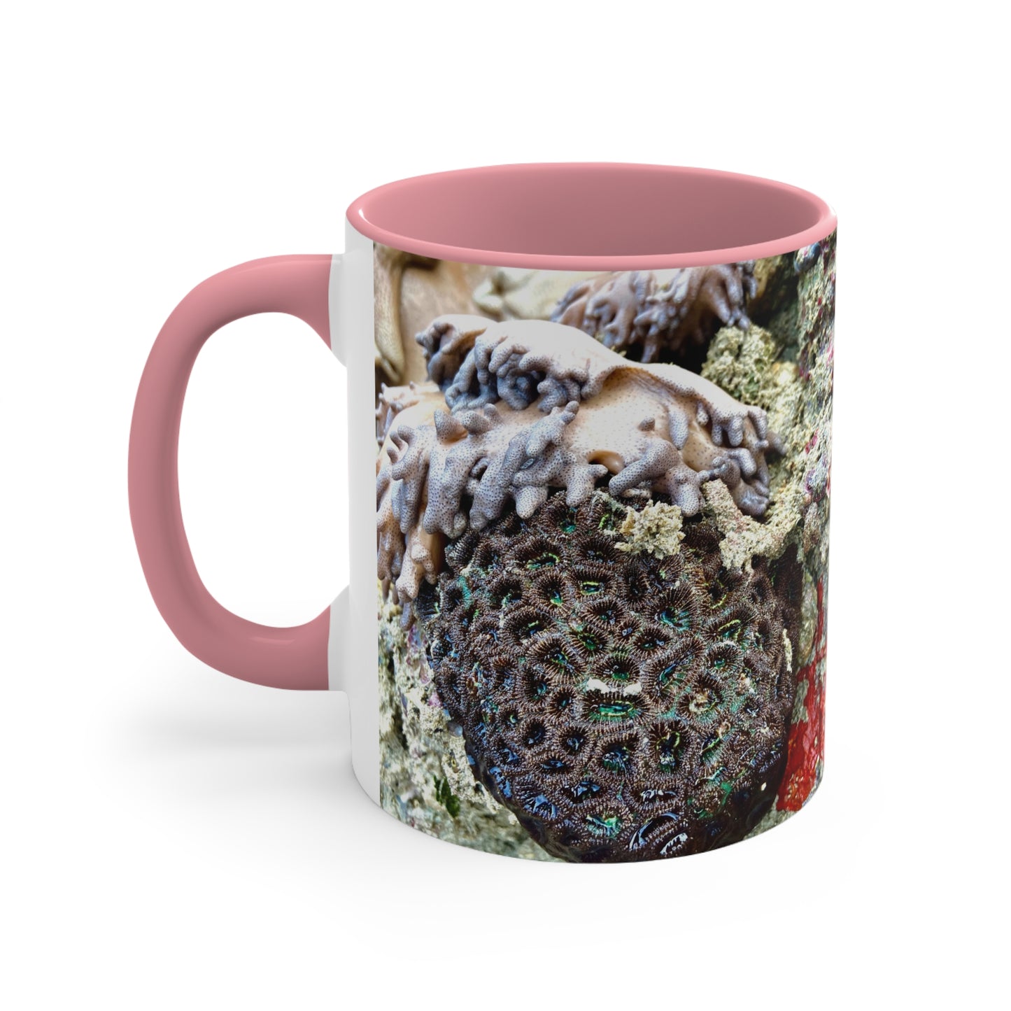 Purposely Wandering Coral Accent Mug - 11oz Colorful Coffee Cup
