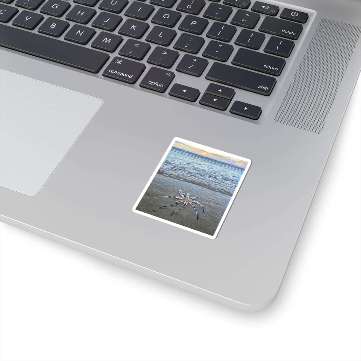 “Show me something interesting” Kiss-Cut Stickers