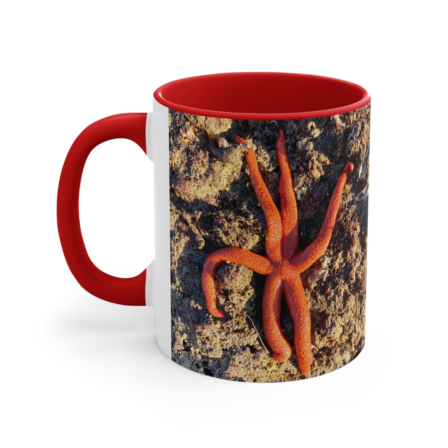 Reef range- AUS PRINT Colorful Accent Mugs, 11oz