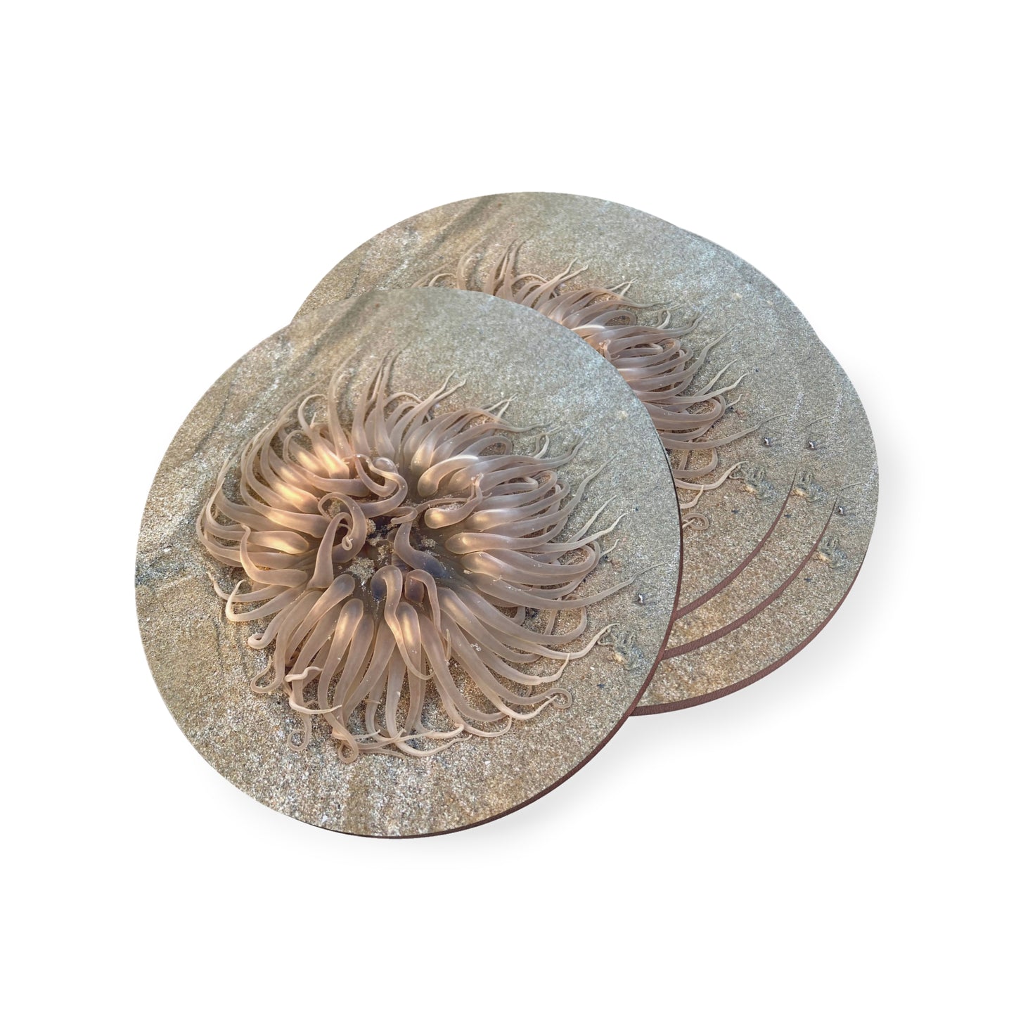 Reef range- AUS PRINT Coasters