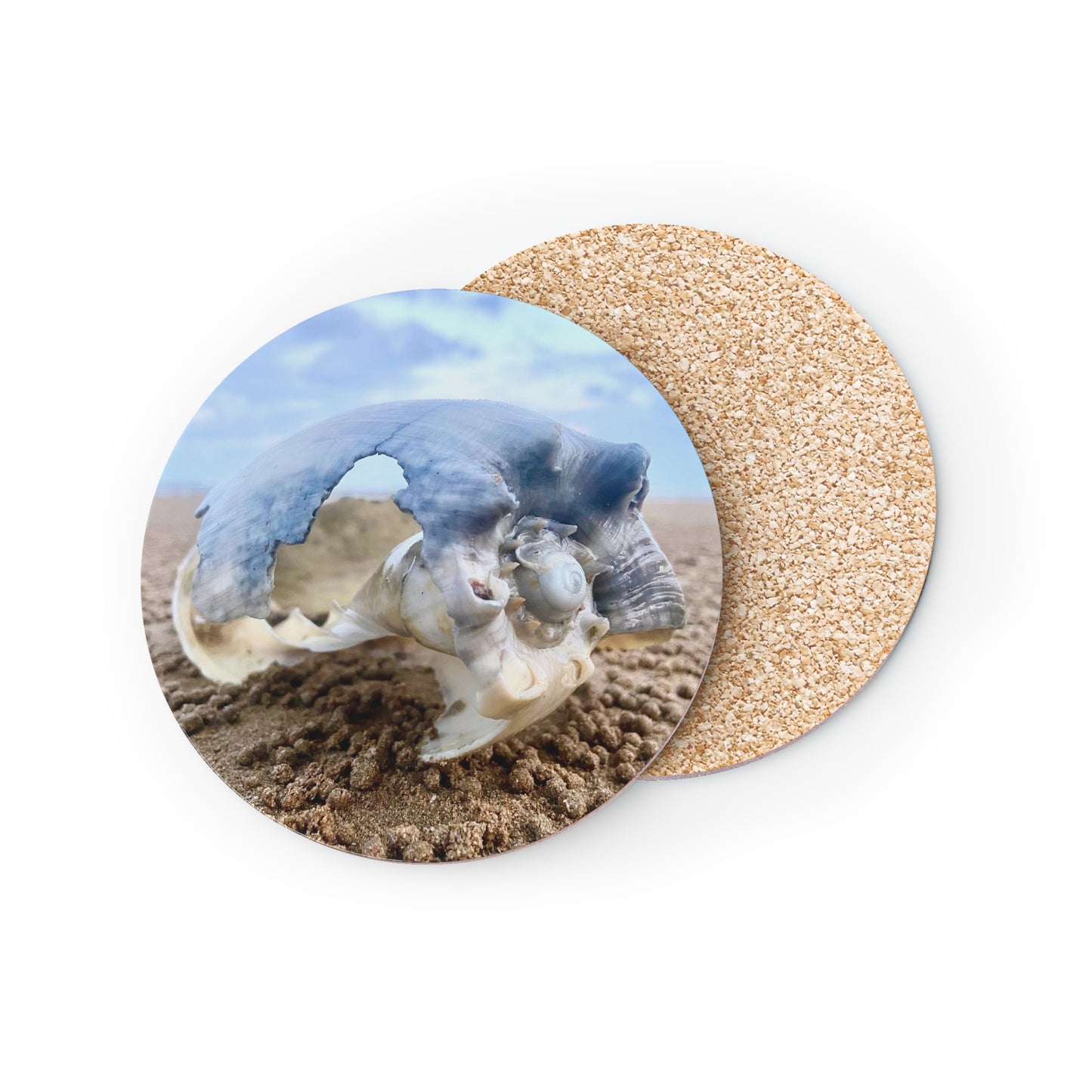 Ocean-Inspired Decorative Coasters - Coastal Shell Design