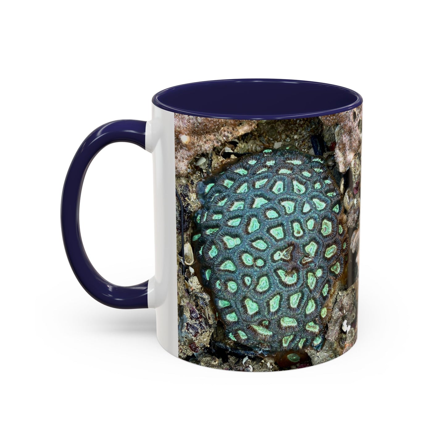 Reef range Accent Coffee Mug (11, 15oz)