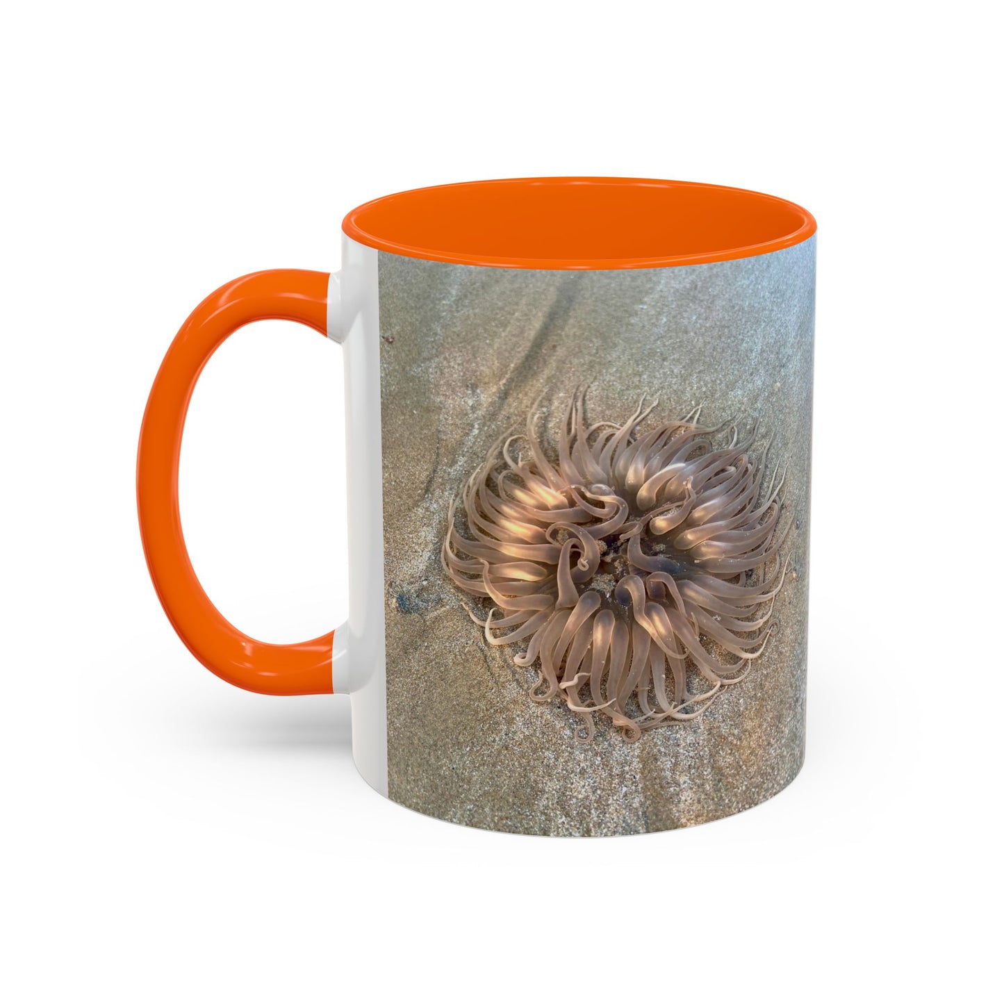 Purposely Wandering Accent Coffee Mug - Unique 11oz & 15oz Drinkware for Nature Lovers